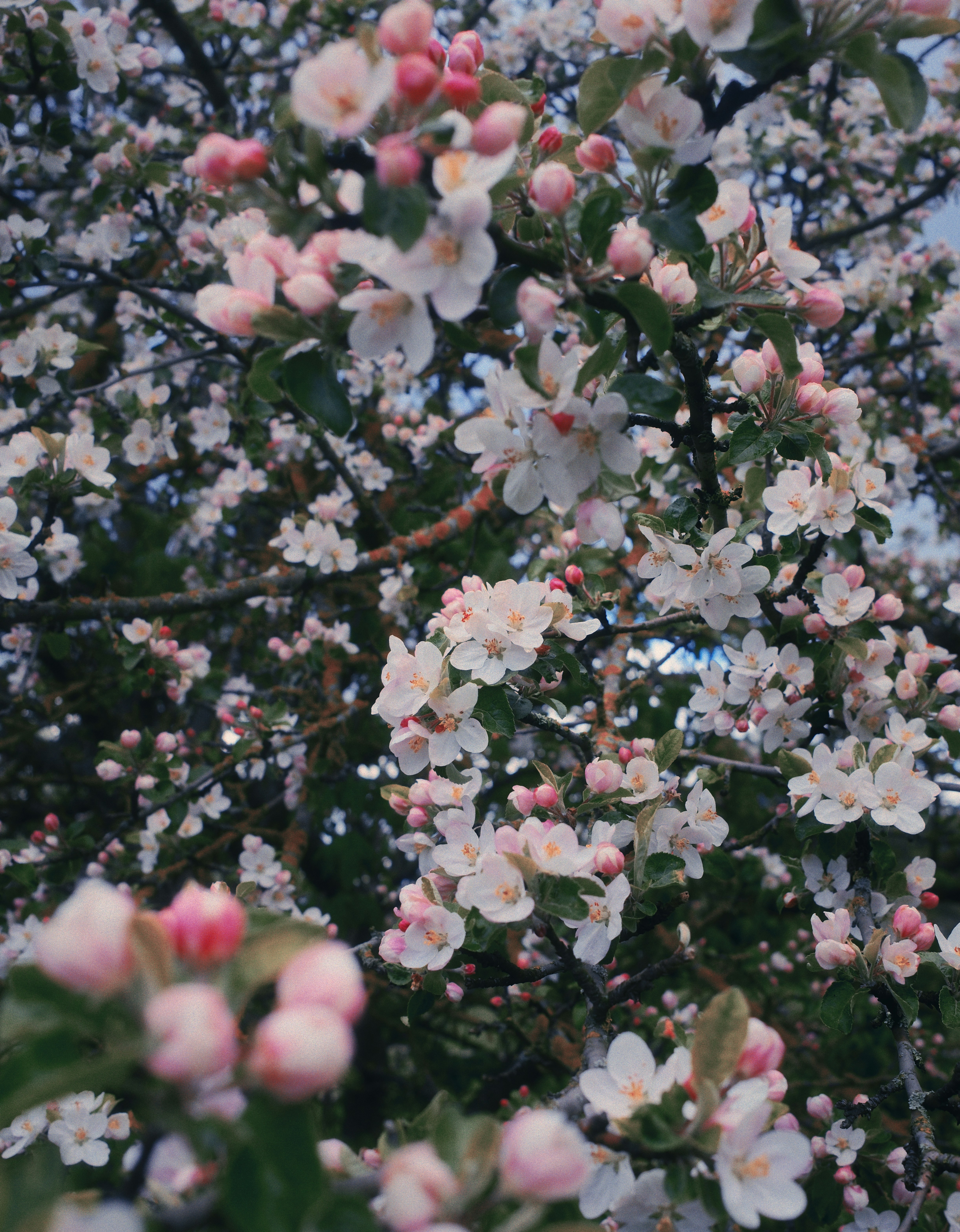 Photo by evil_bumblebee