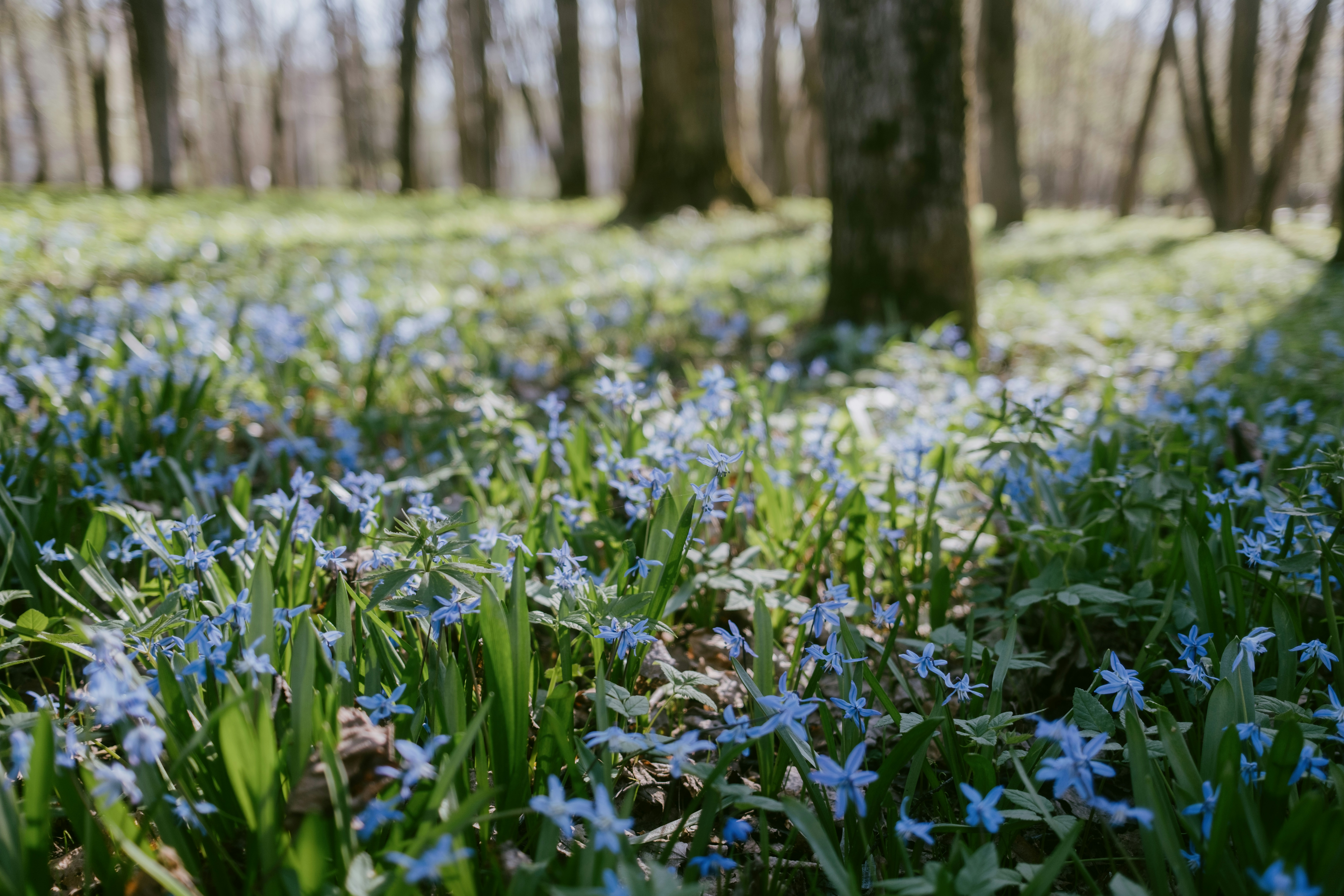 Photo by evil_bumblebee