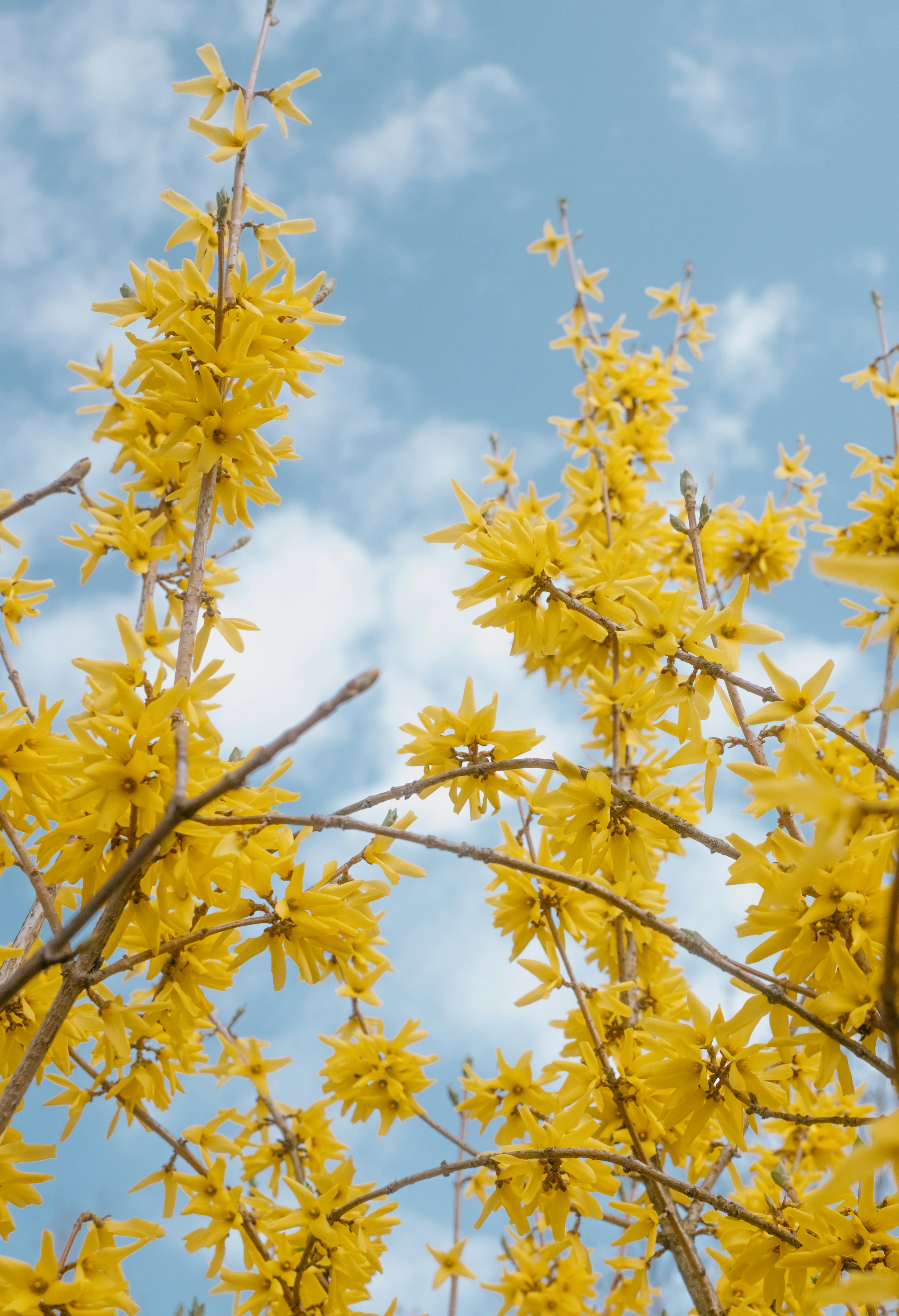 Photo by evil_bumblebee