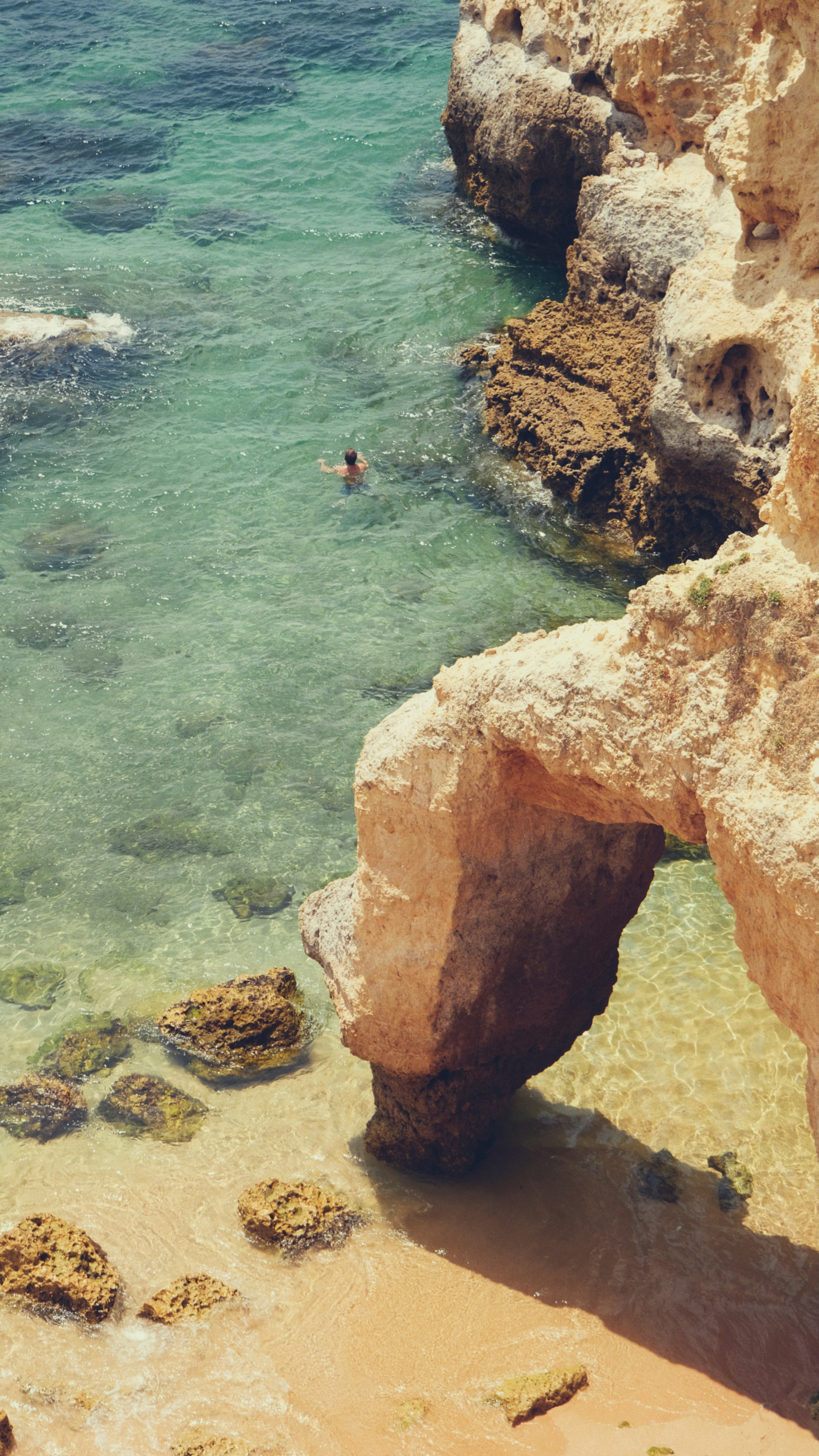 A swimmer enjoys the clear ocean waters.