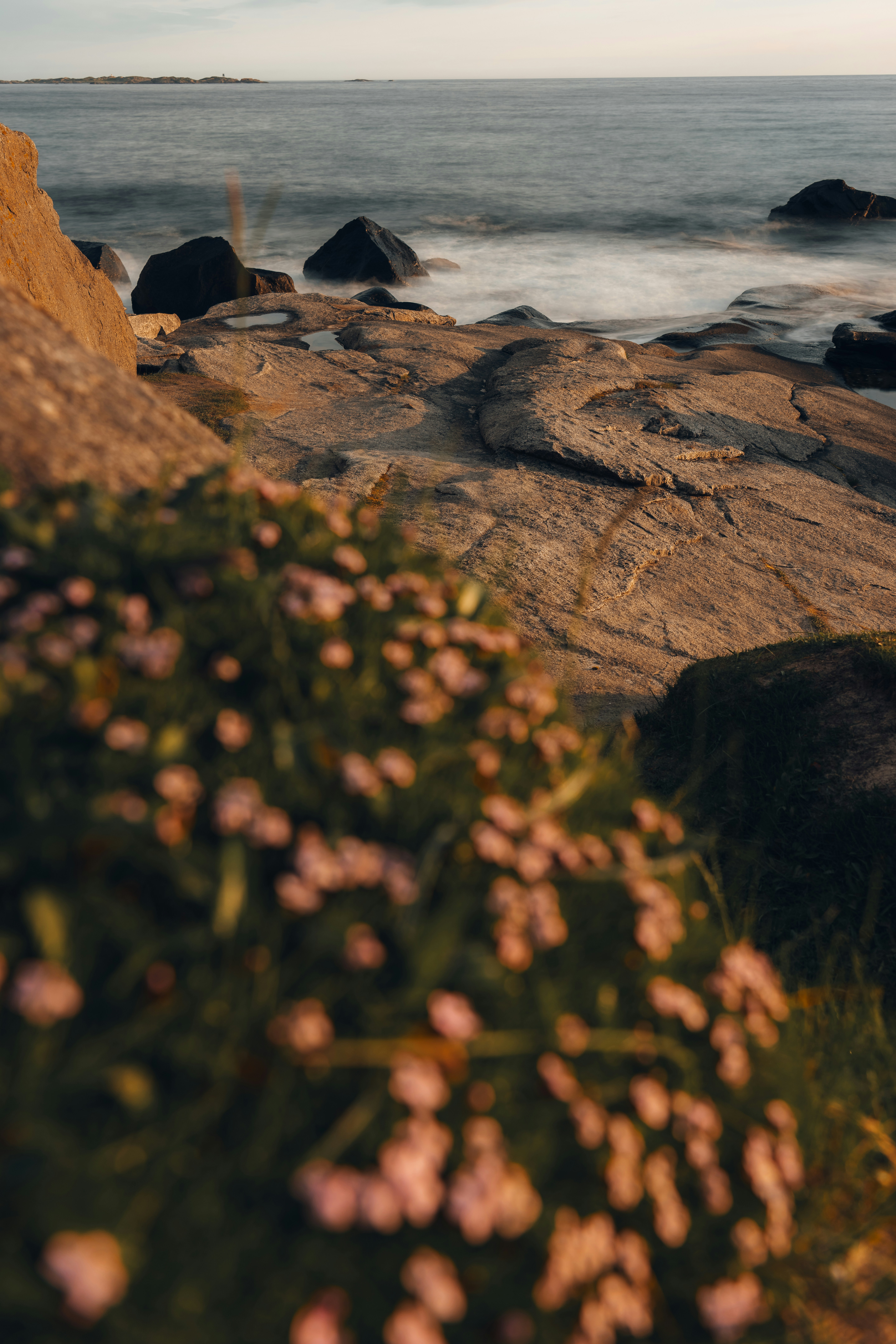 Photo by philipp_dice