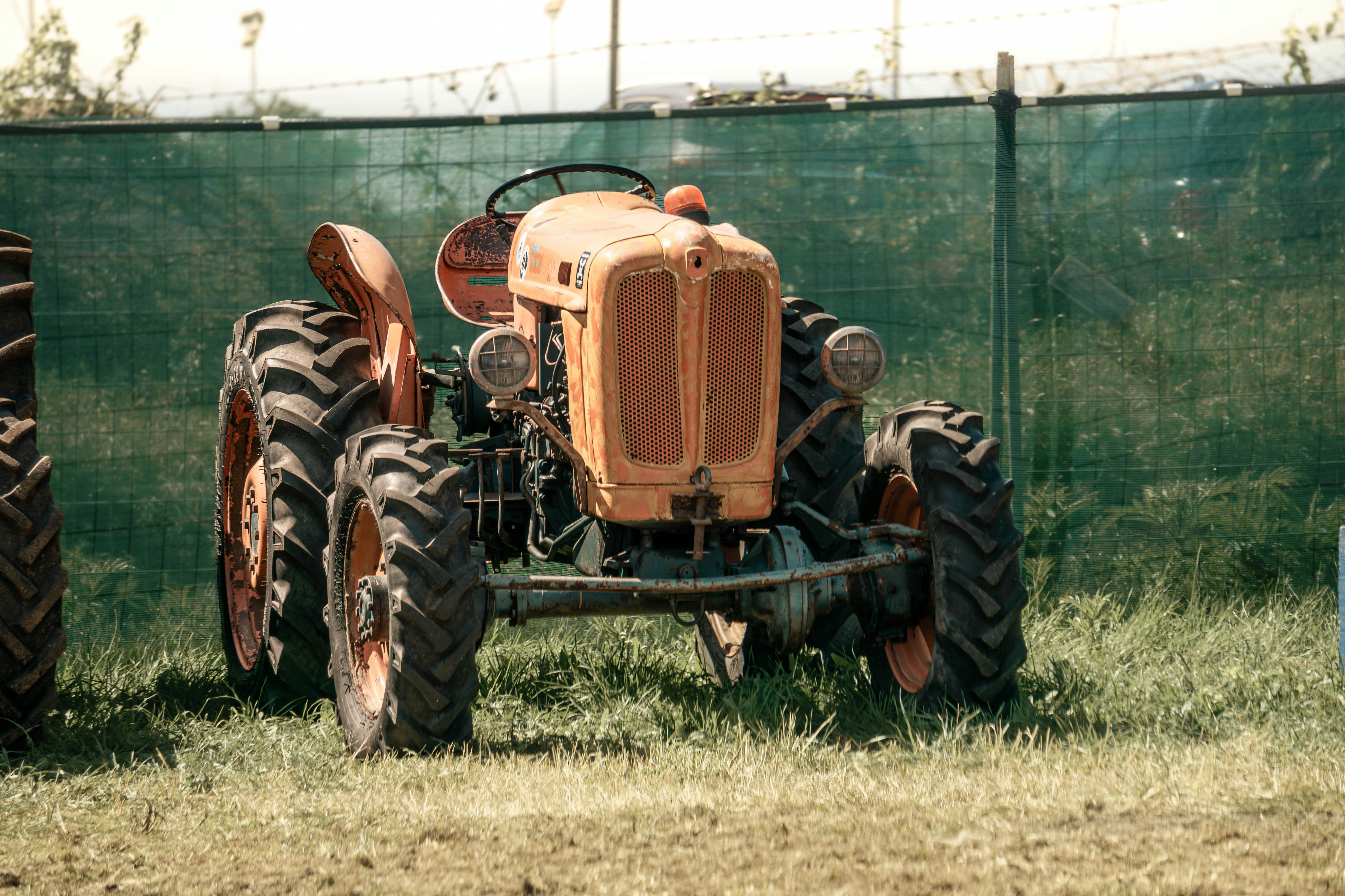 Here's a short caption: orange vintage tractor stands in a grassy field