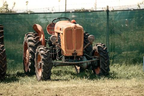 Here's a short caption: orange vintage tractor stands in a grassy field.