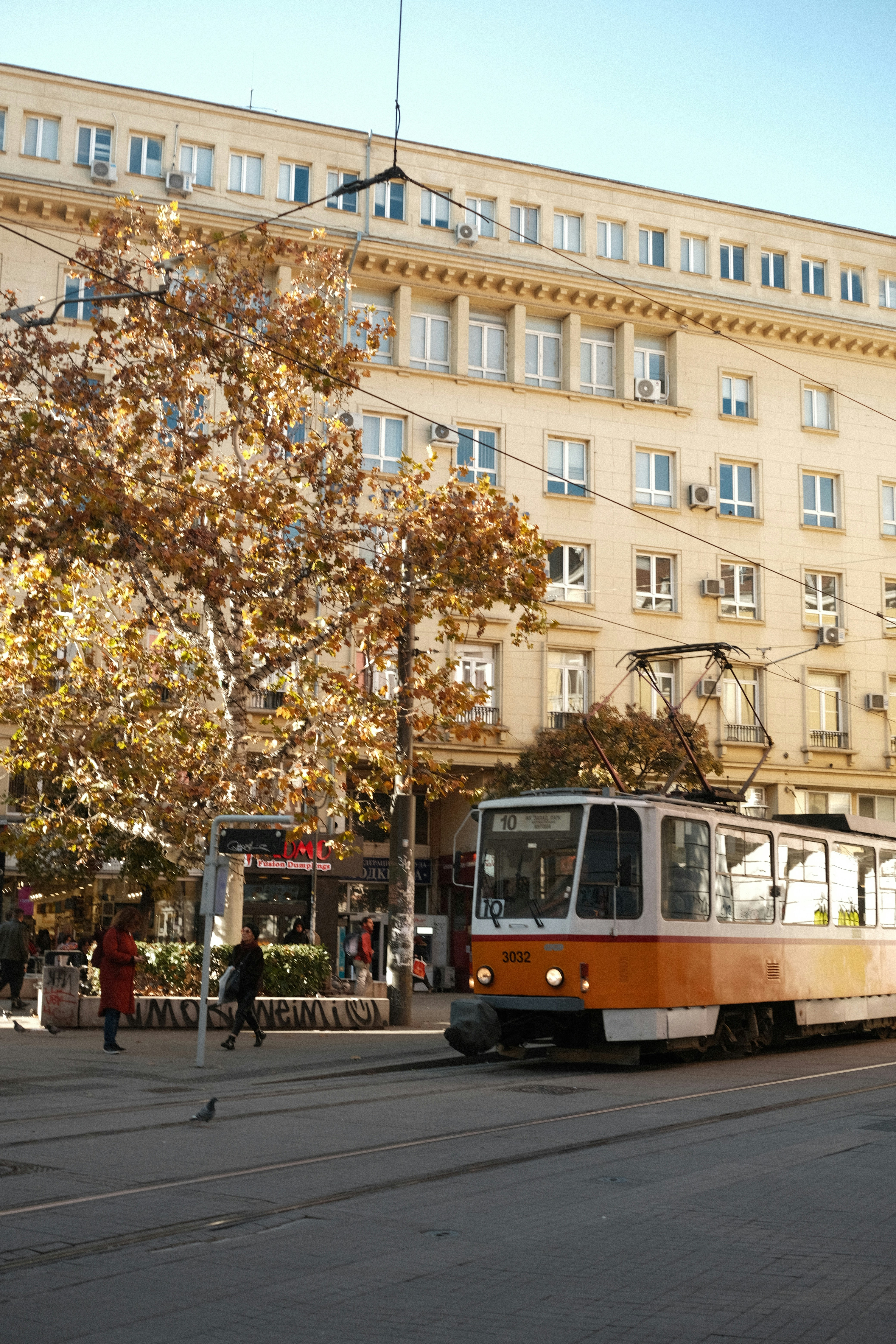 Essential Services — Medical, Emergency, and Communication