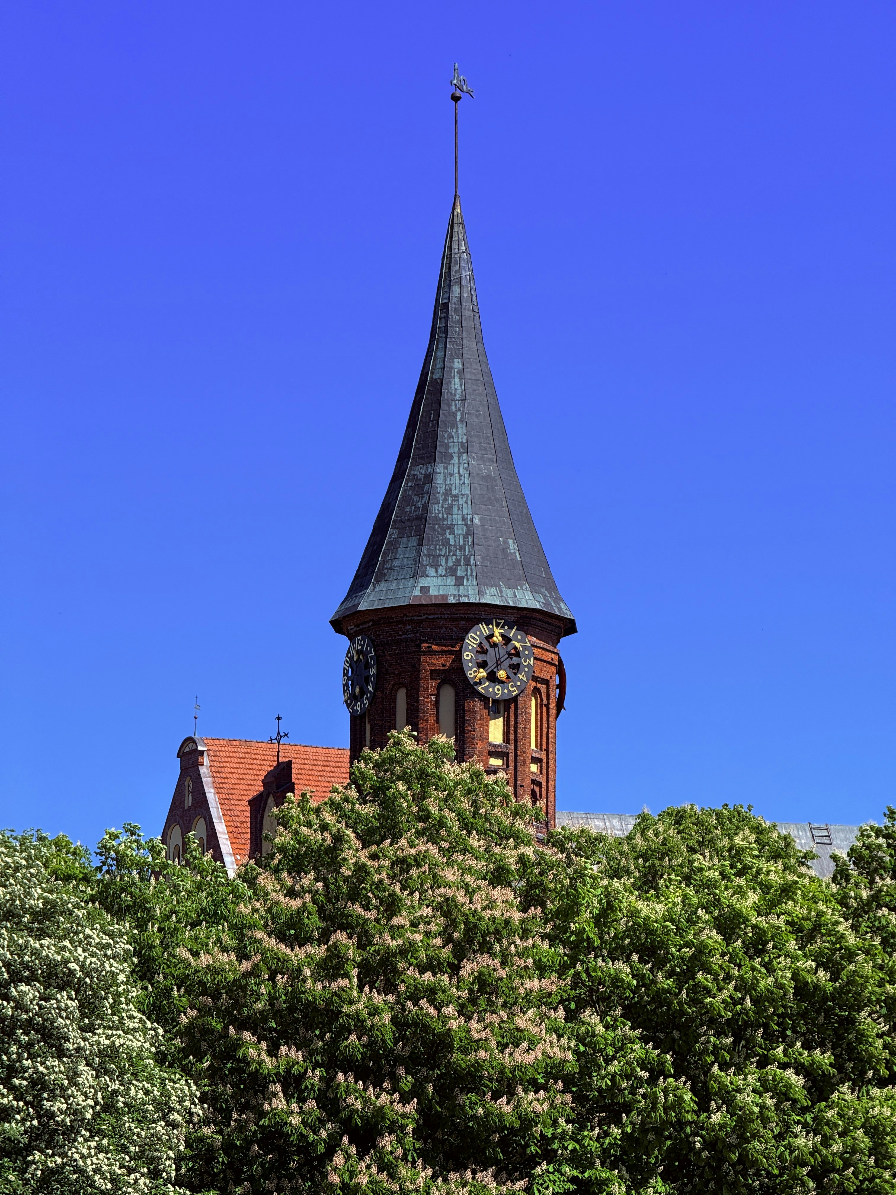 St. Peter's Church, Malmö with Gothic architecture