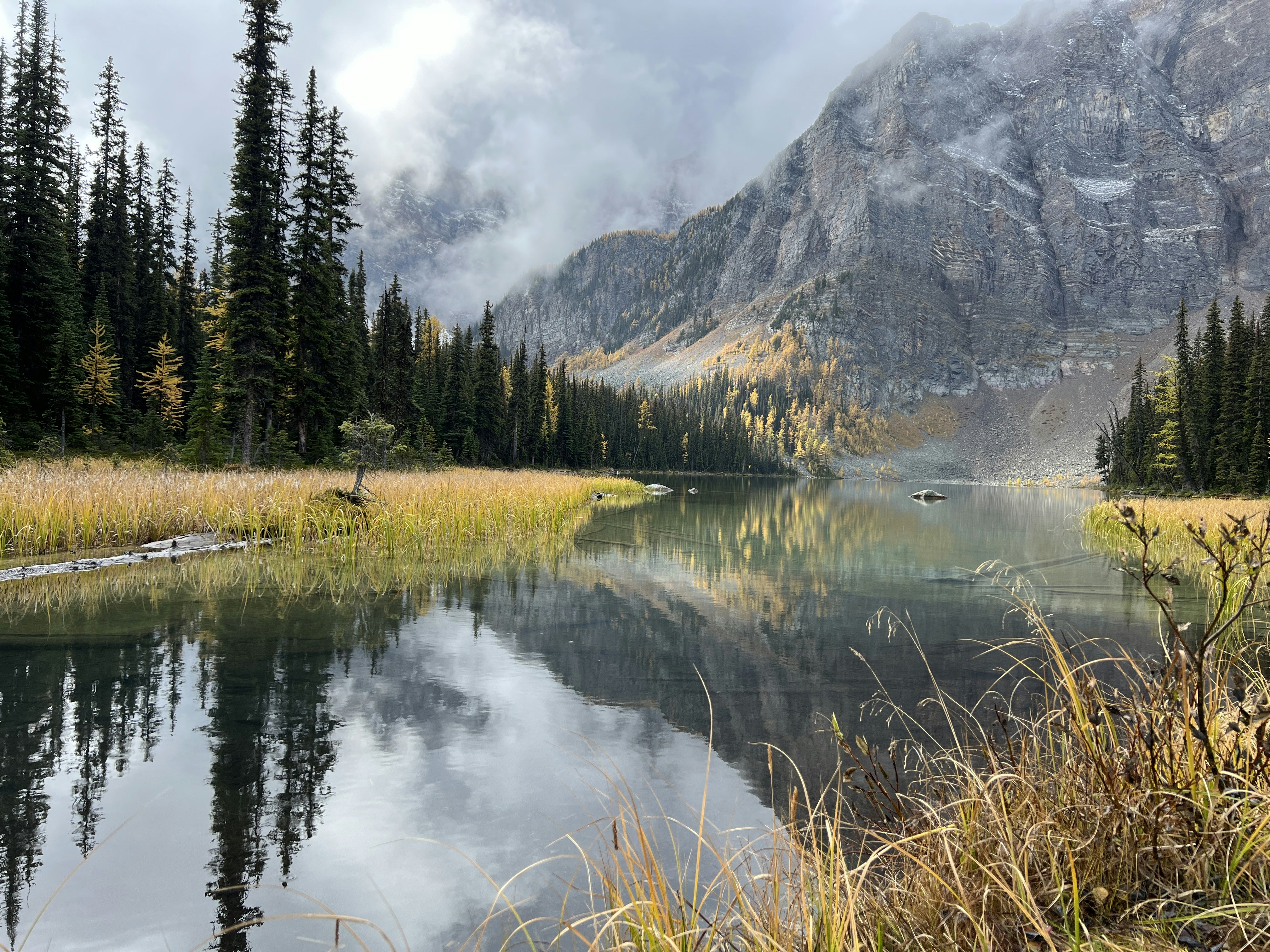 Photo by william_vdg