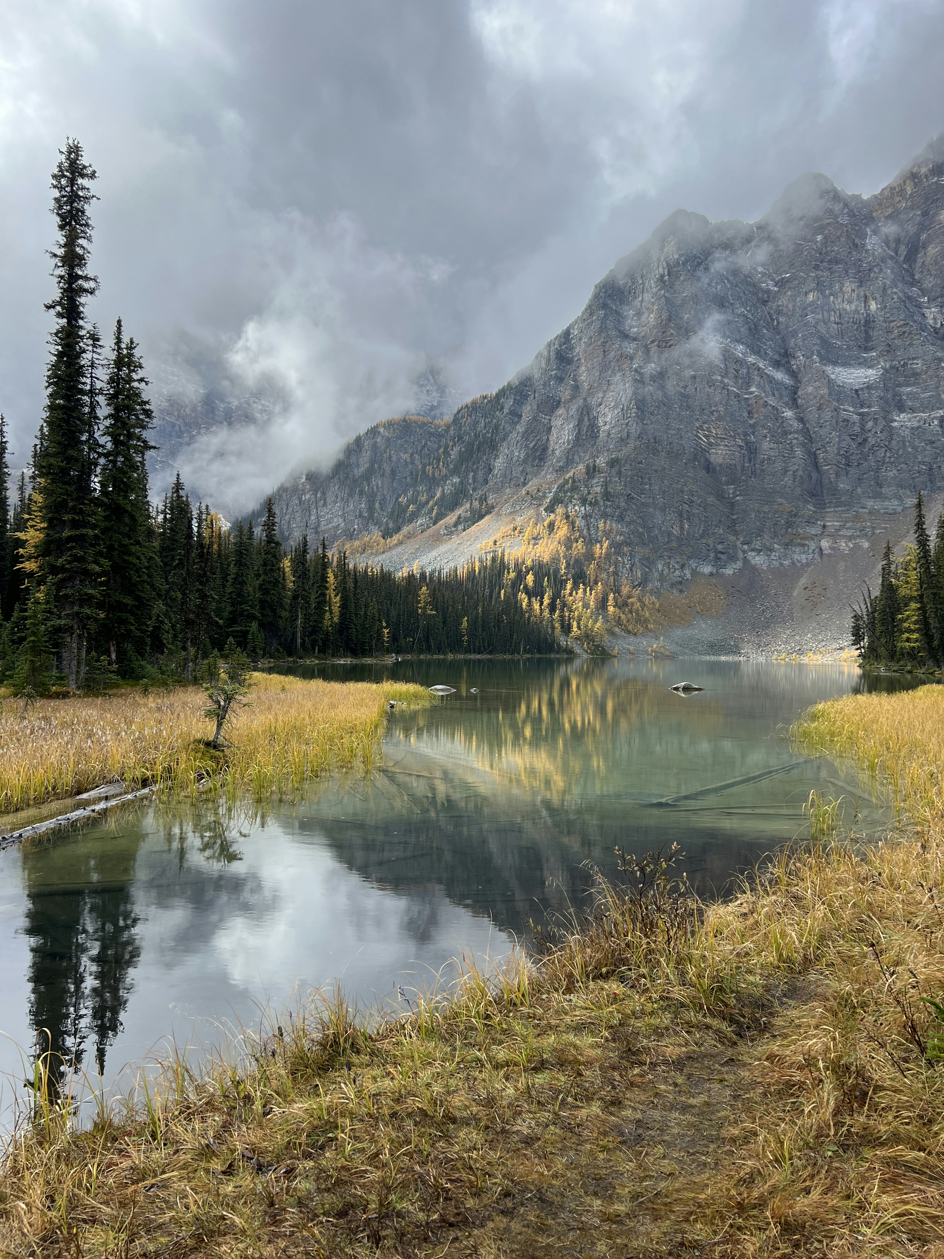 Photo by william_vdg