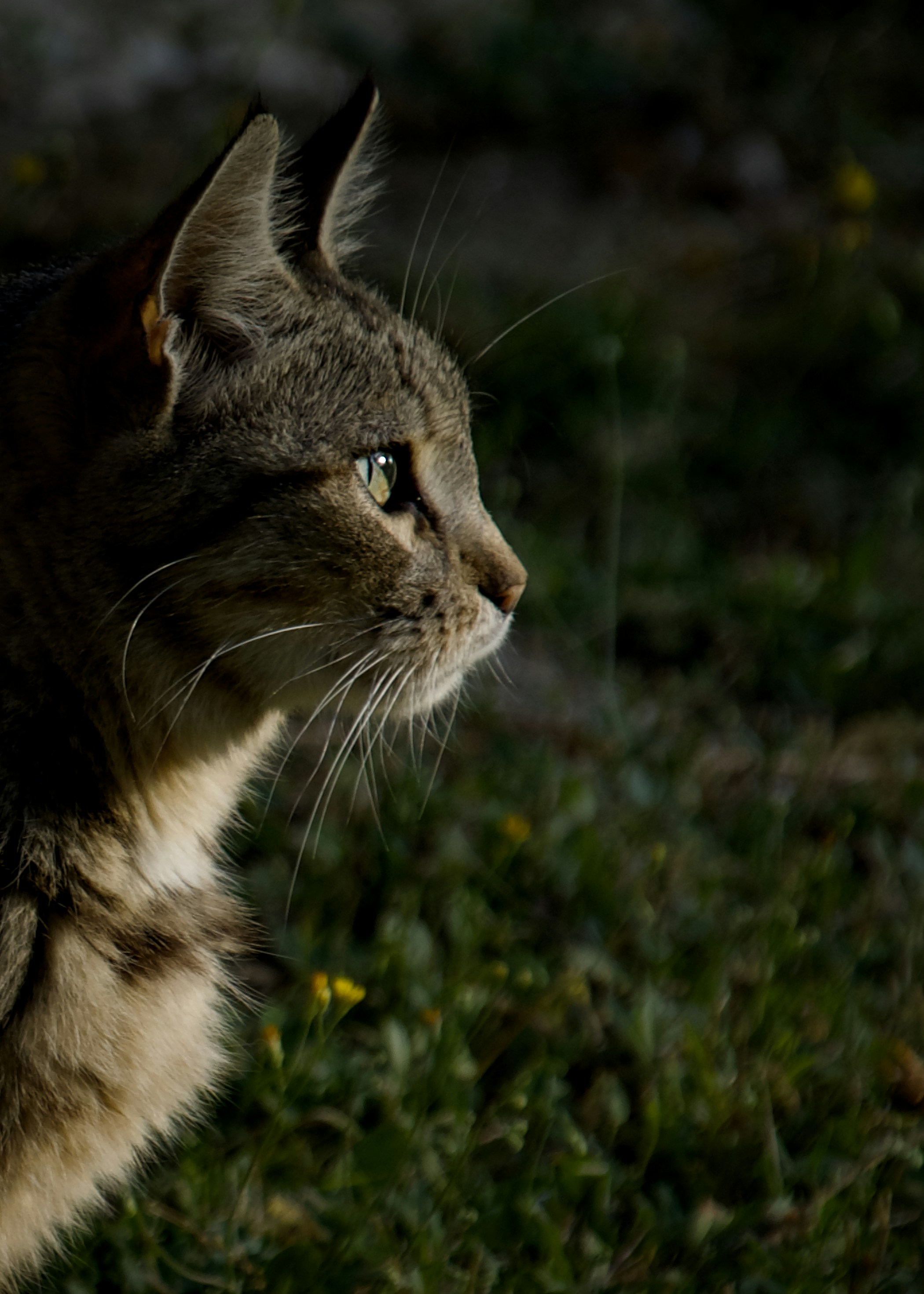 Photo by mariobeducci