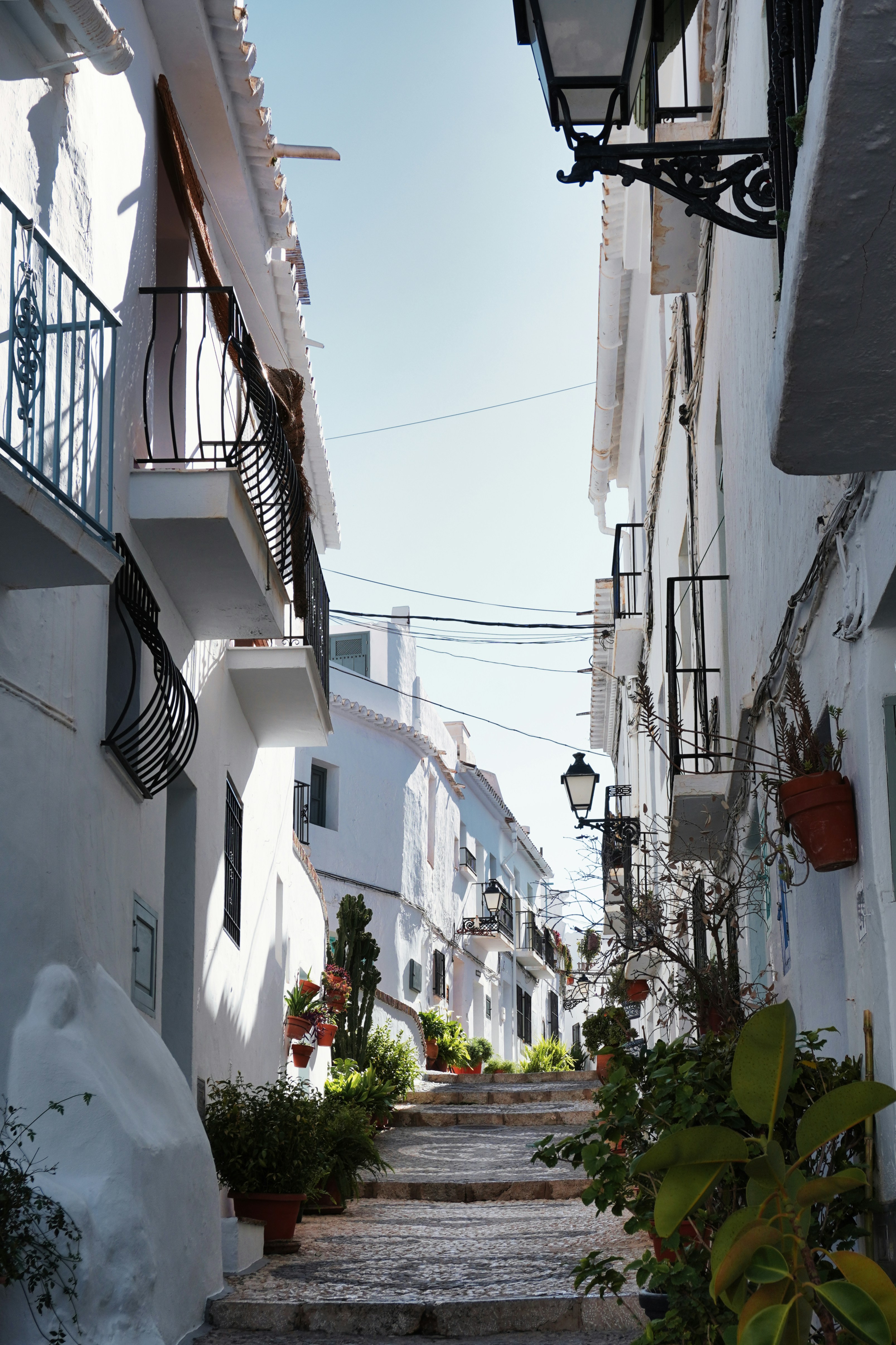 Photo by ernestonorman