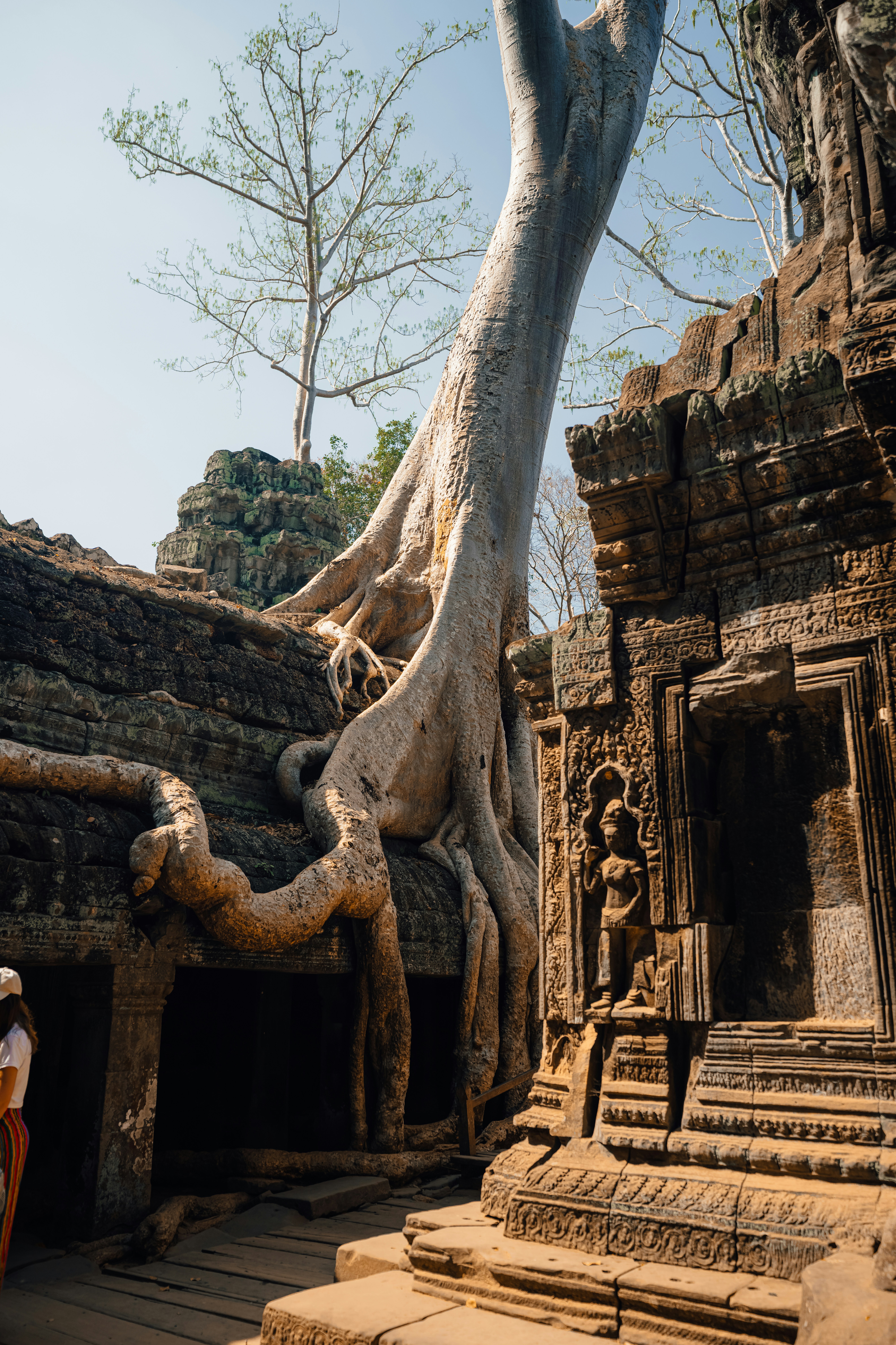 Photo by limamauro23