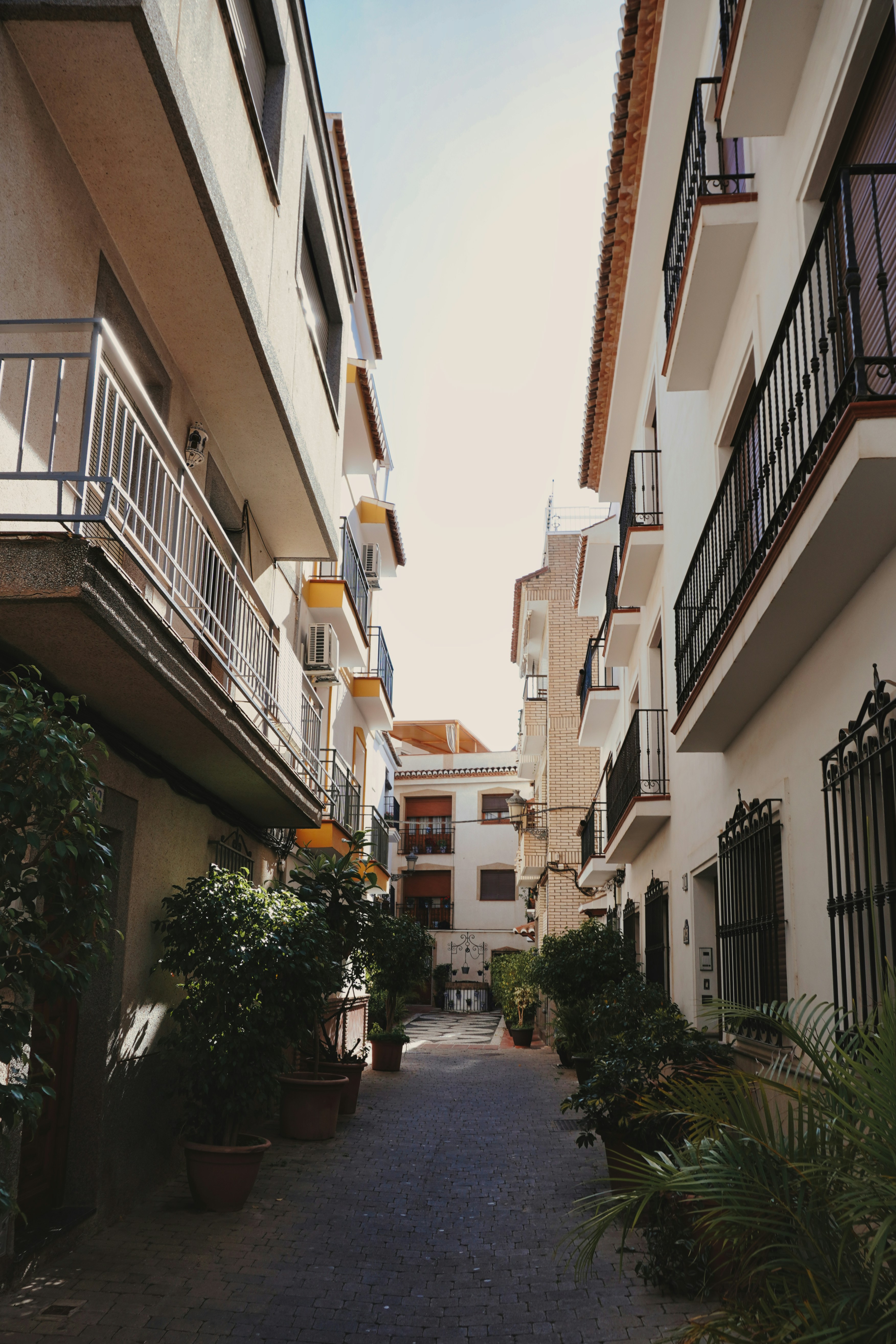 Photo by ernestonorman