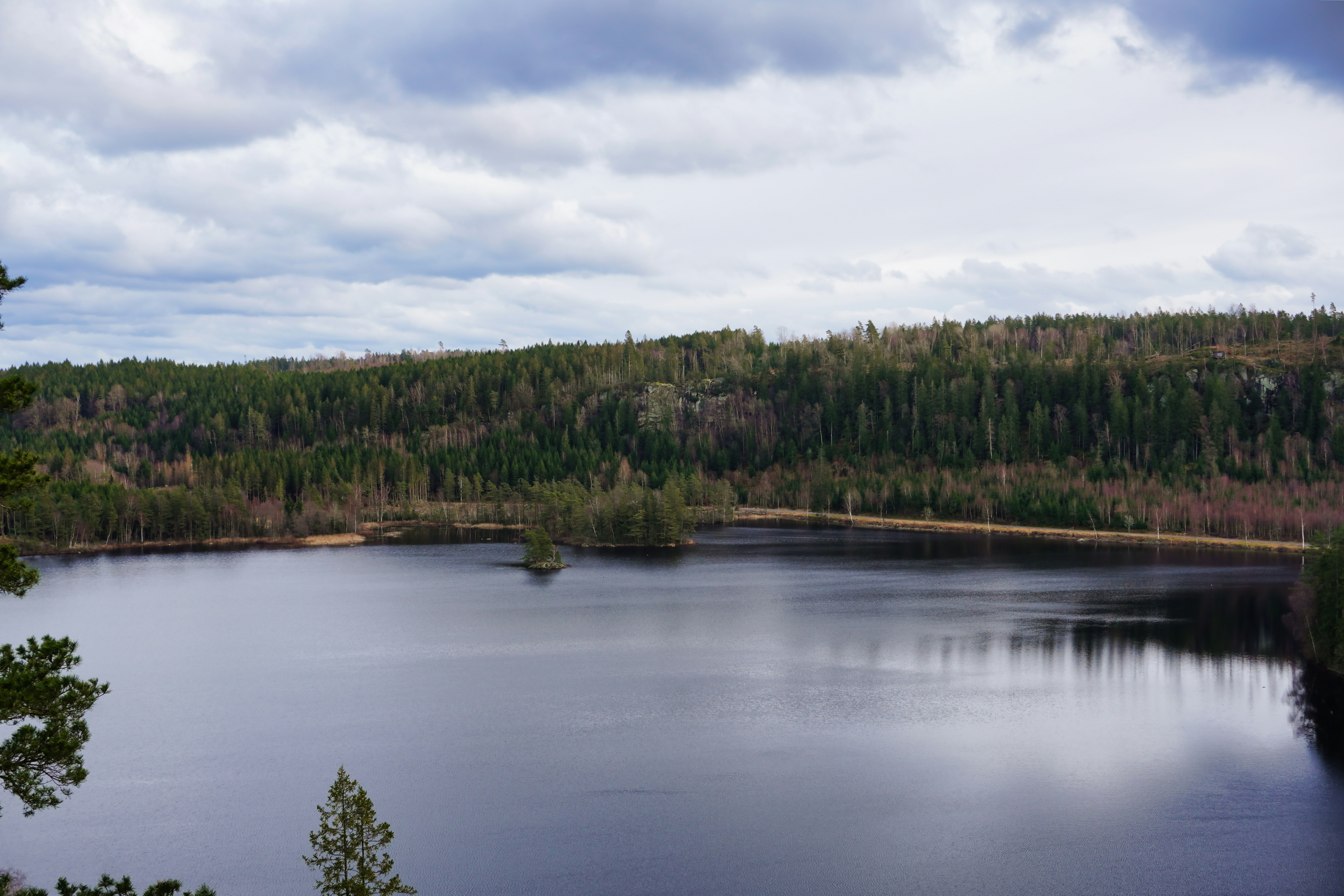 Photo by ernestonorman