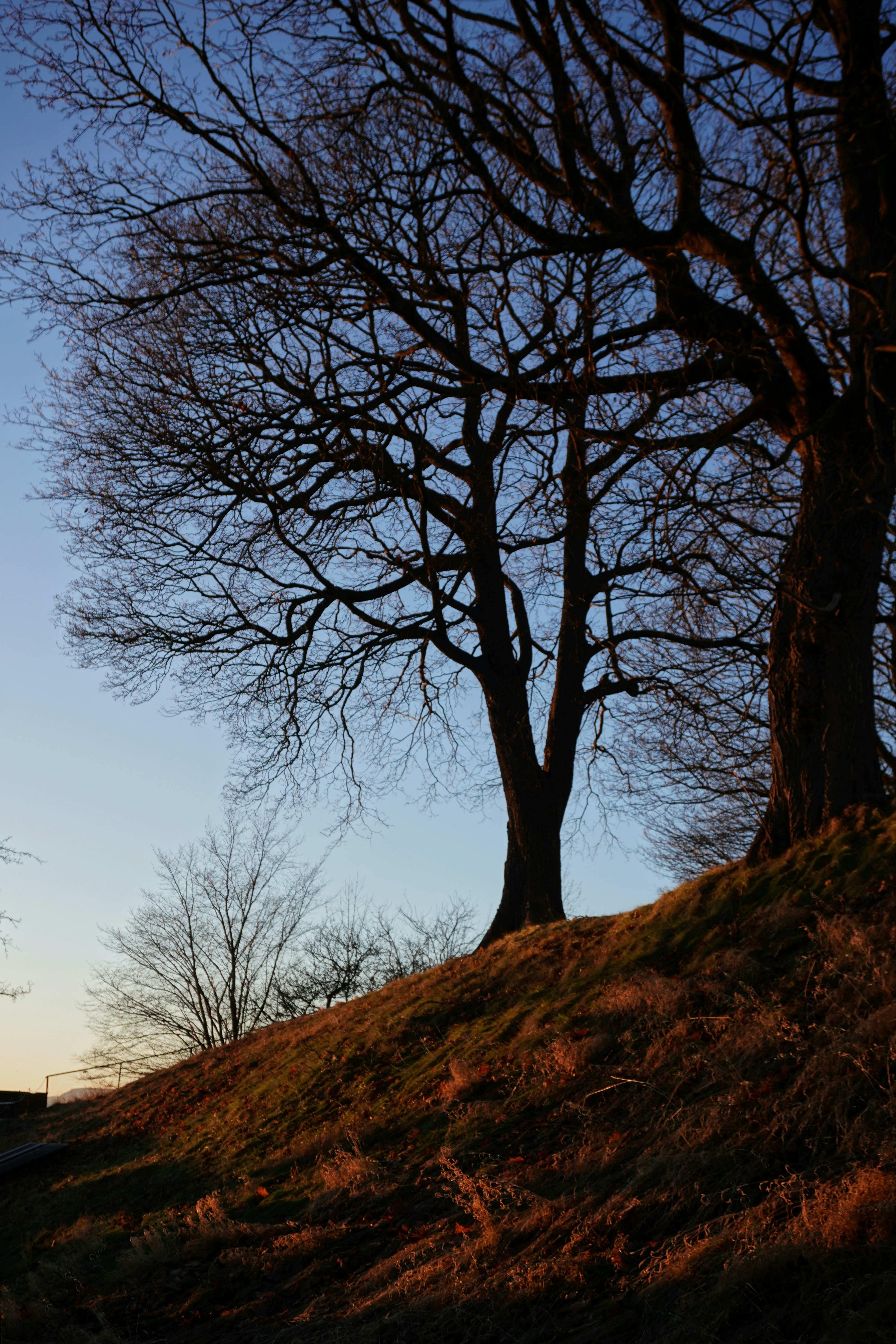 Photo by ernestonorman