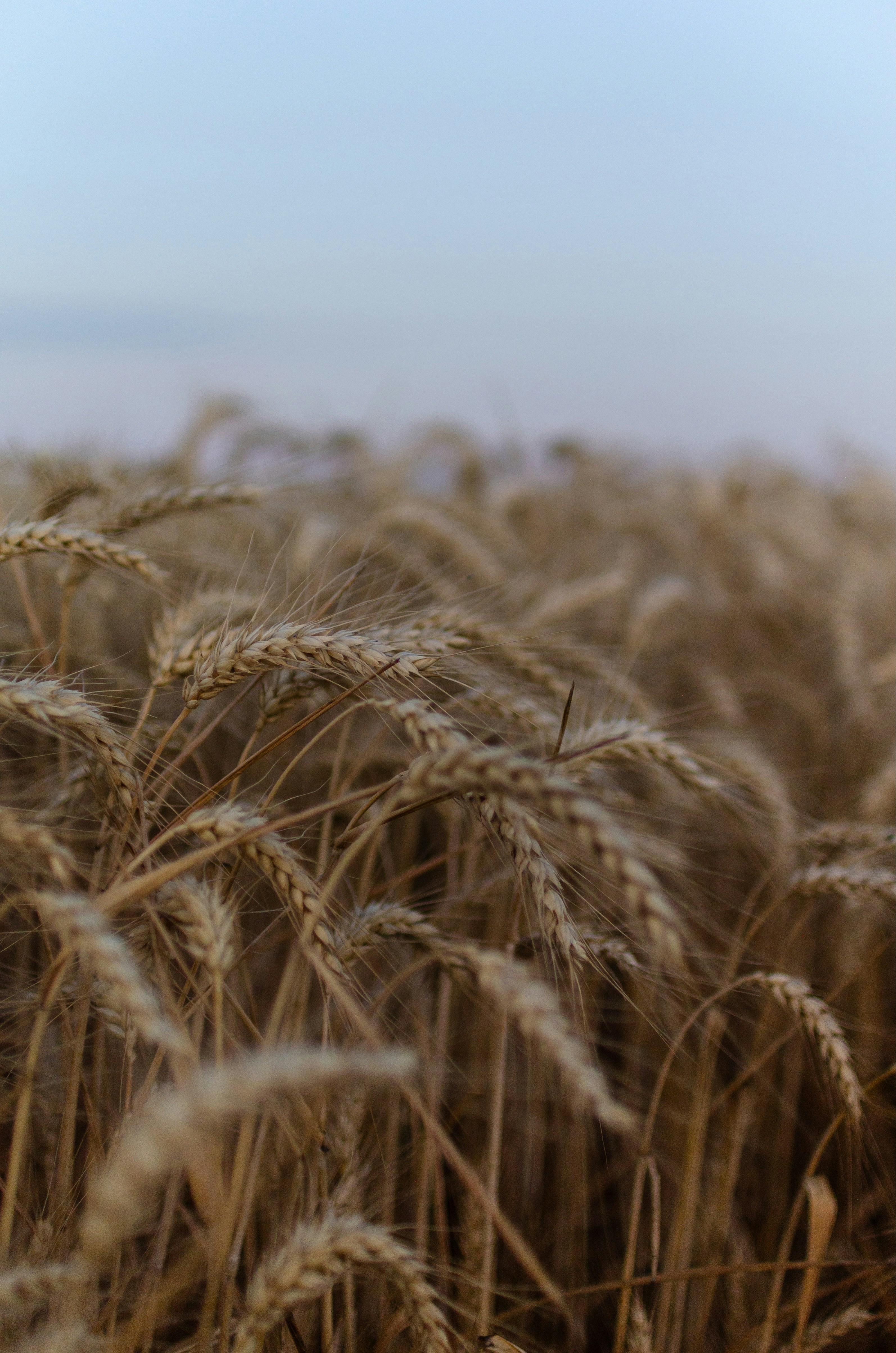 Photo by gamanalice3012