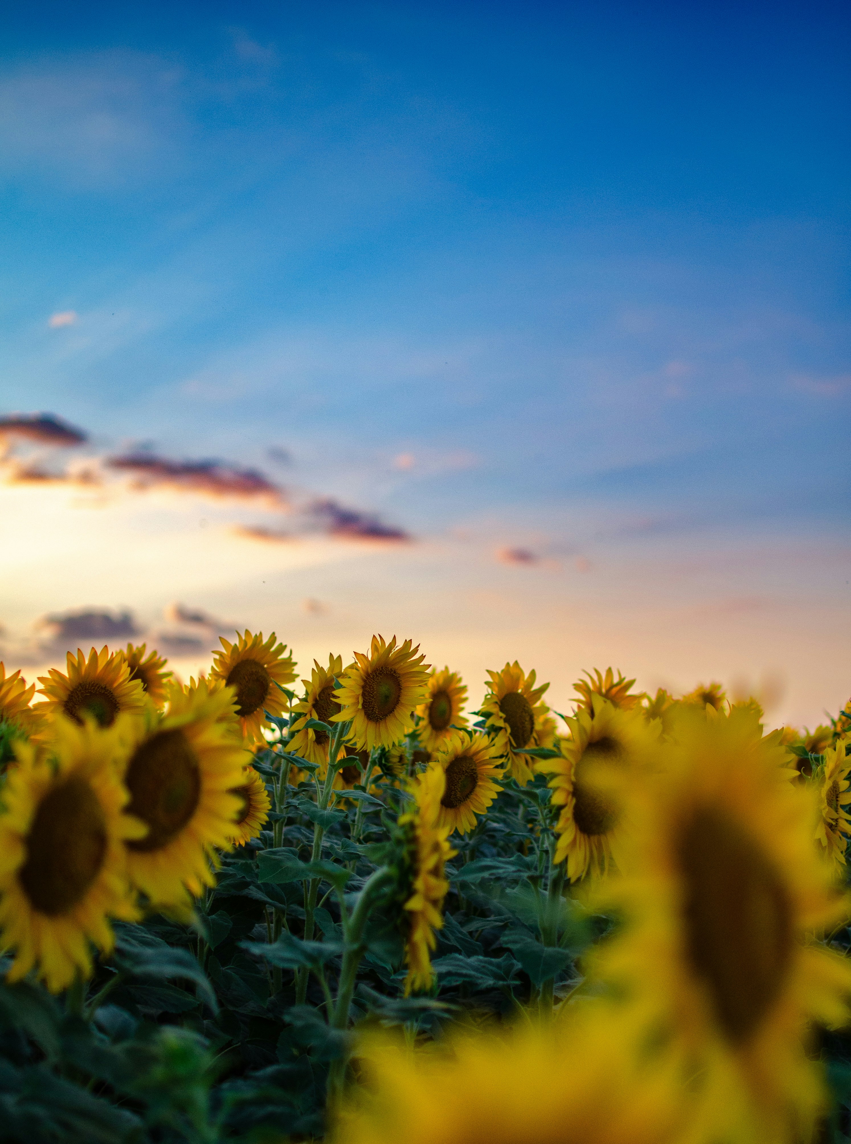 Photo by gamanalice3012