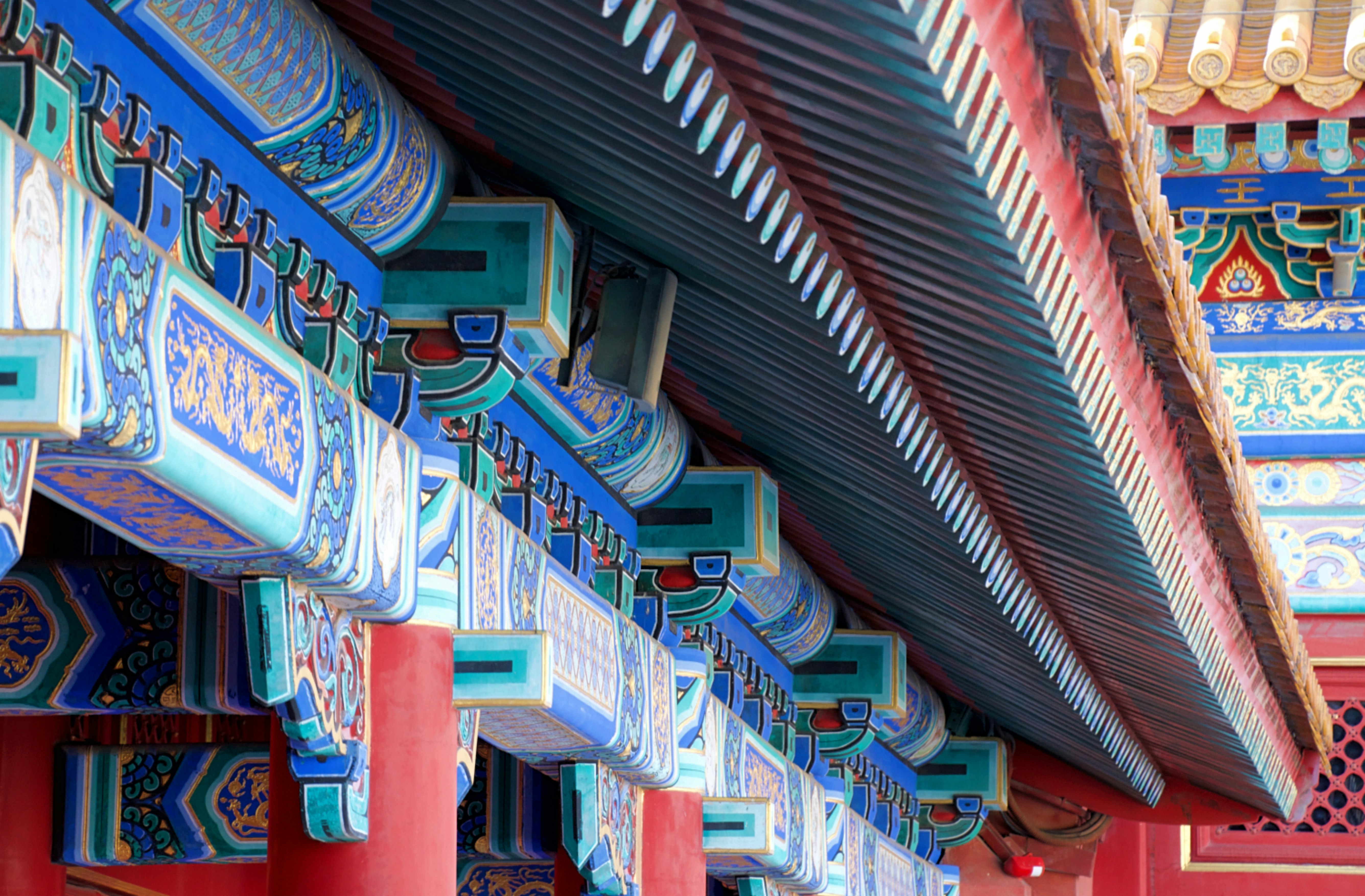 Photo by josswoodhead