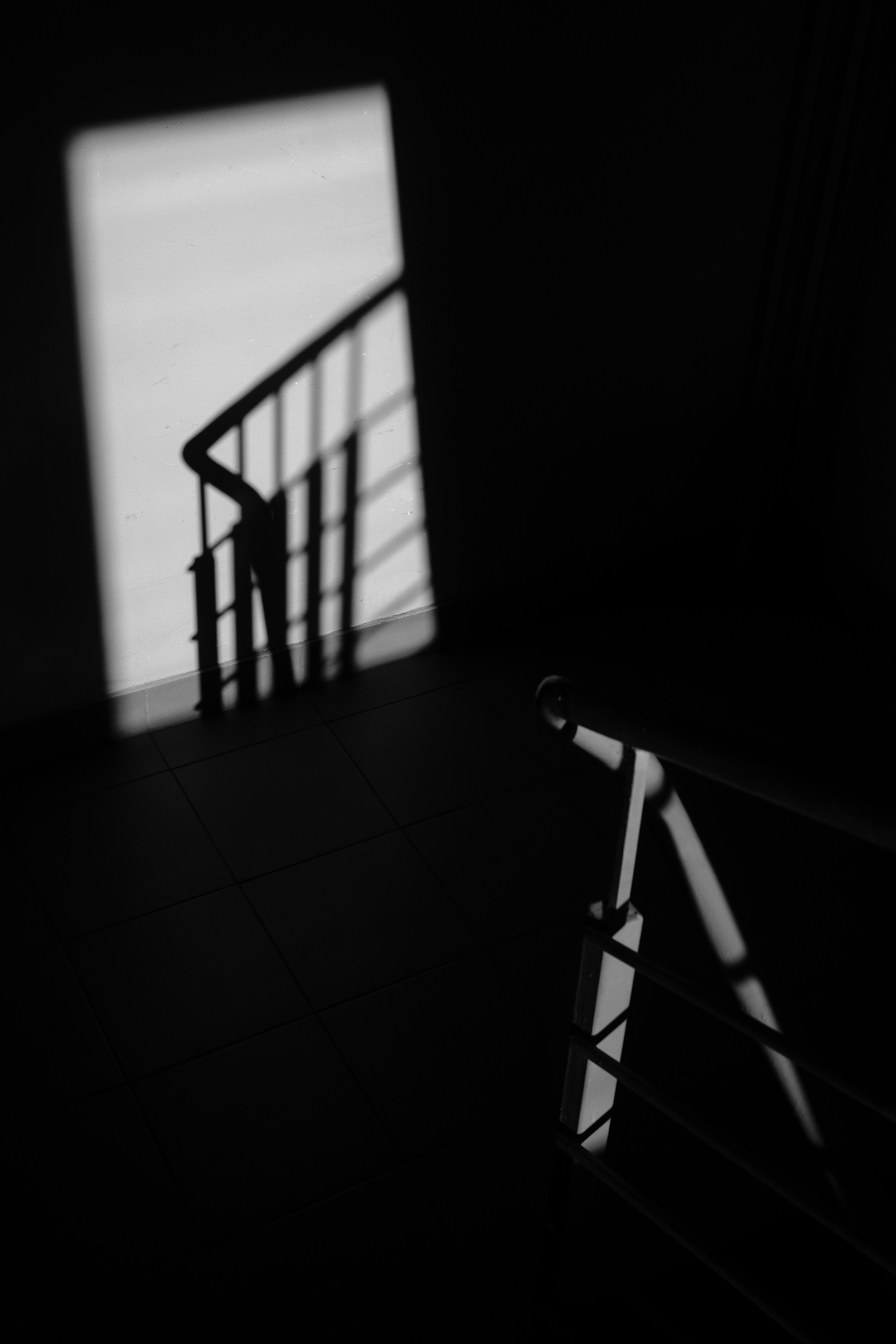 Photo by lvovandrewph