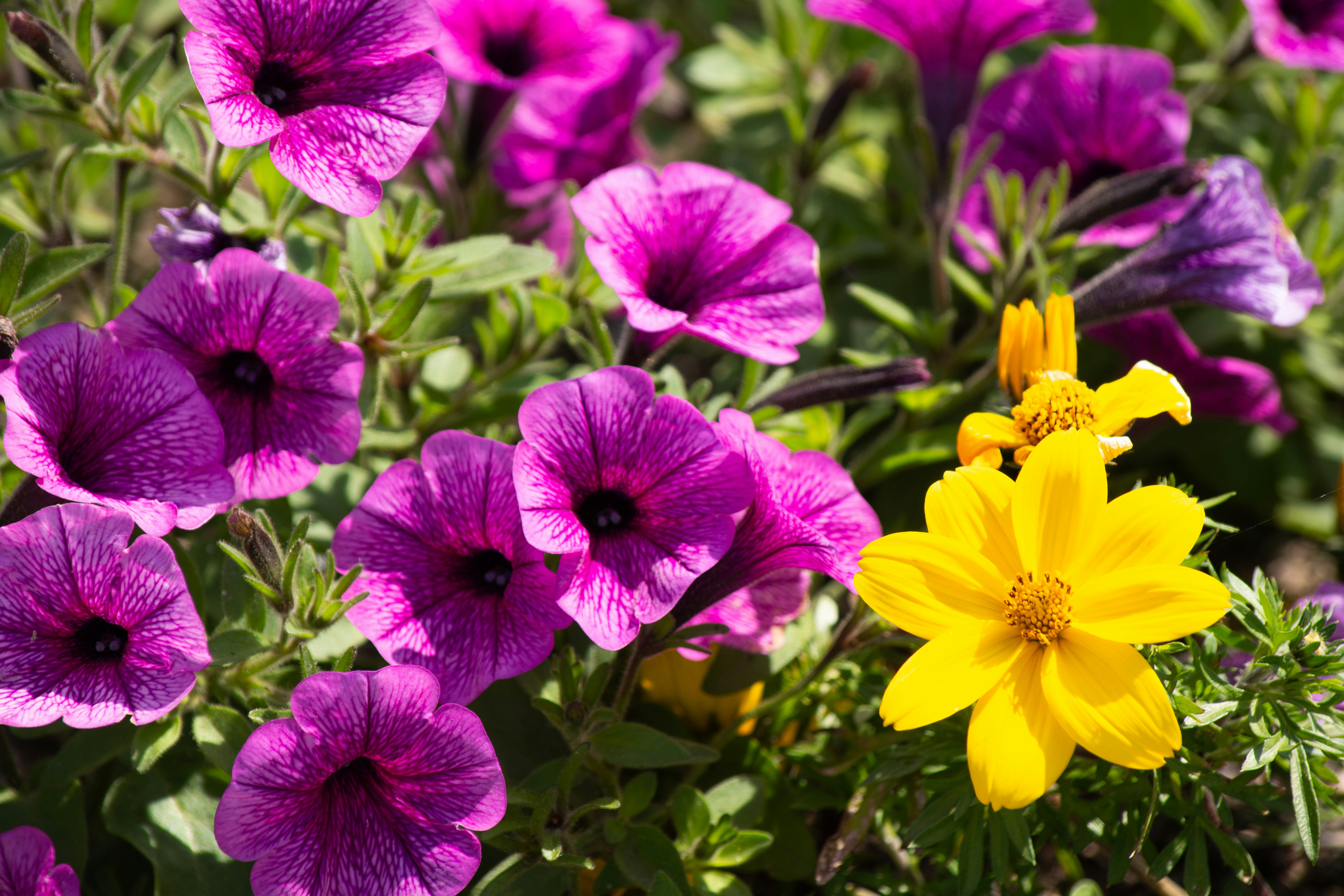 Photo by donovanreeves