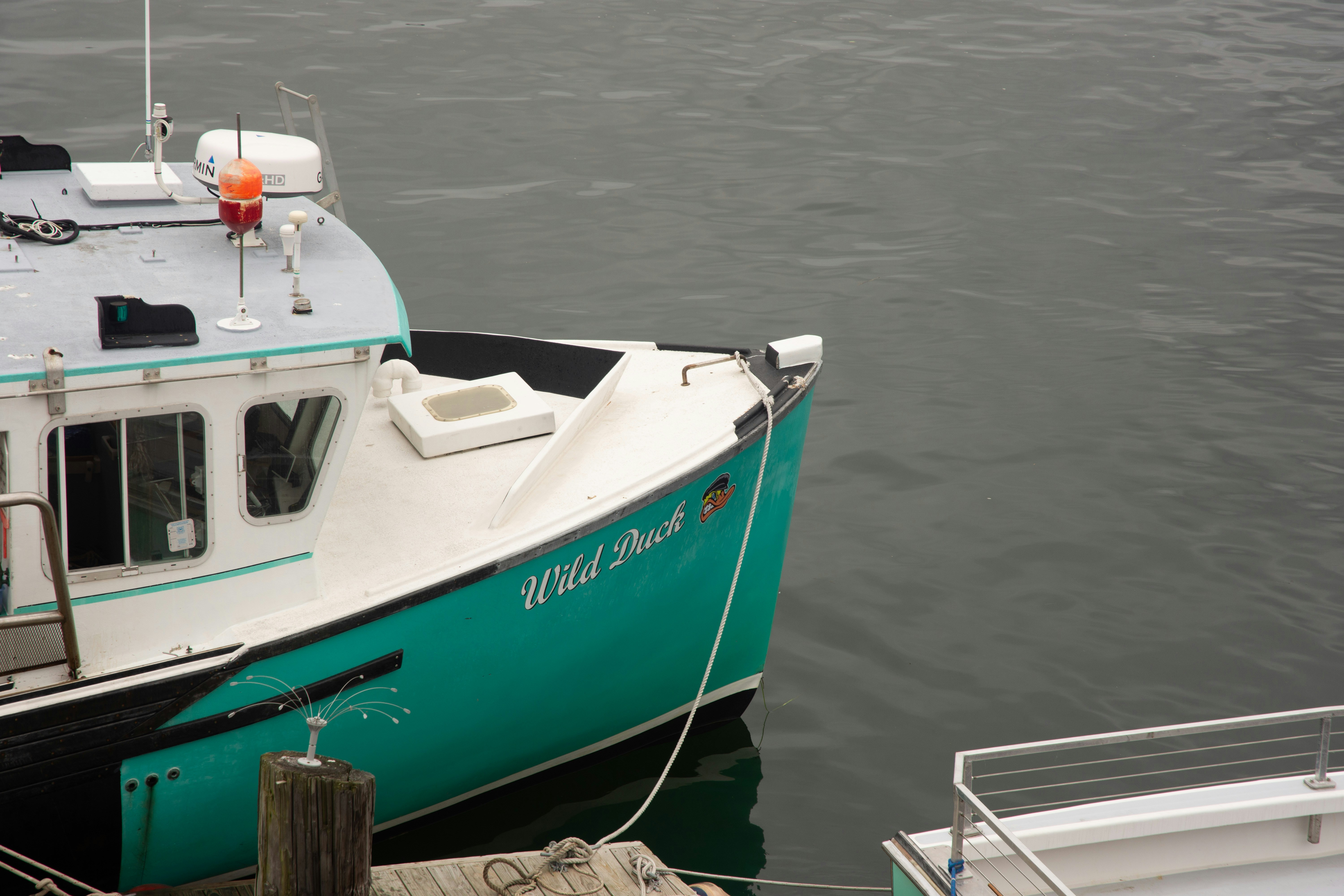 Una barca chiamata anatra selvatica è attraccata.