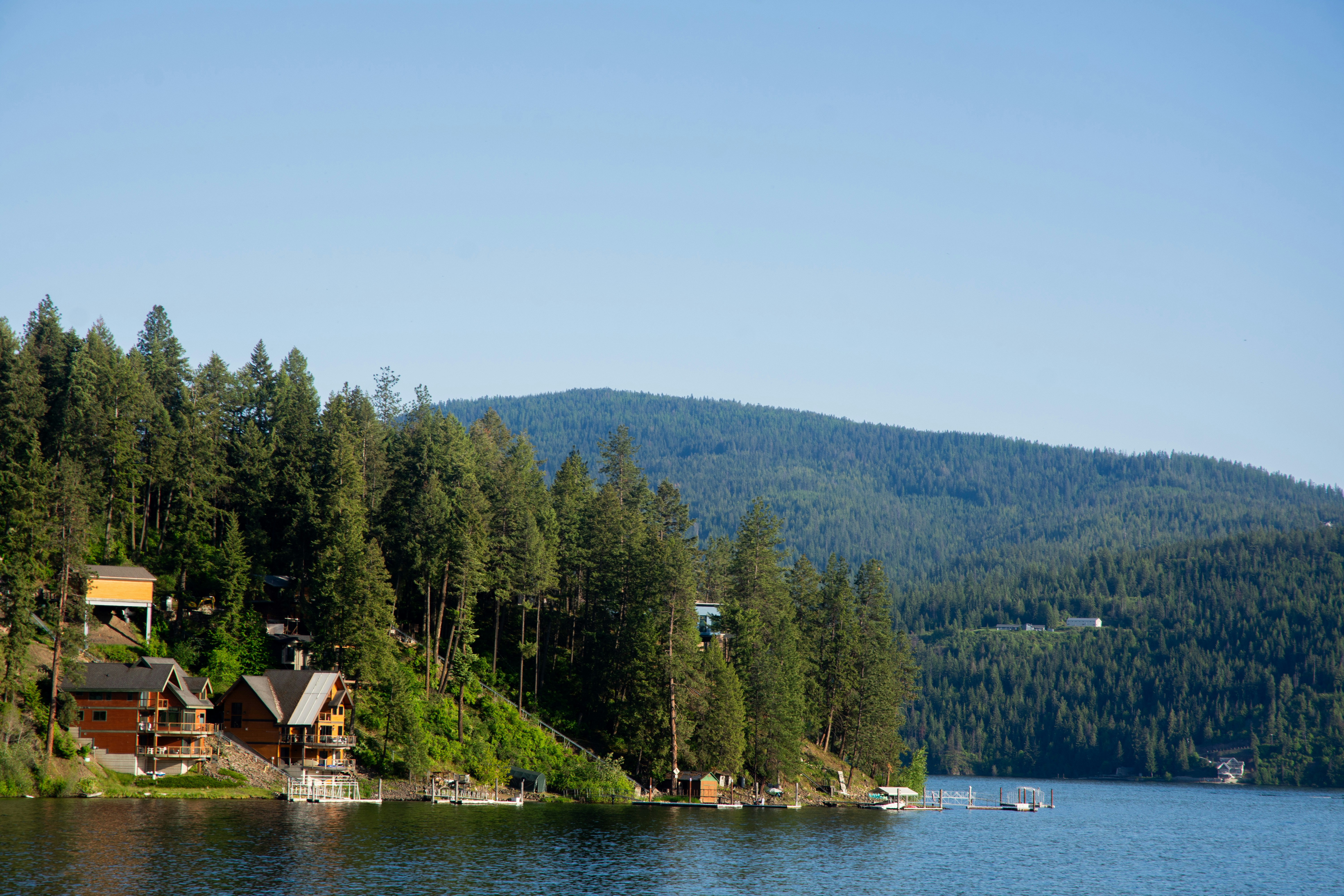 Photo by donovanreeves