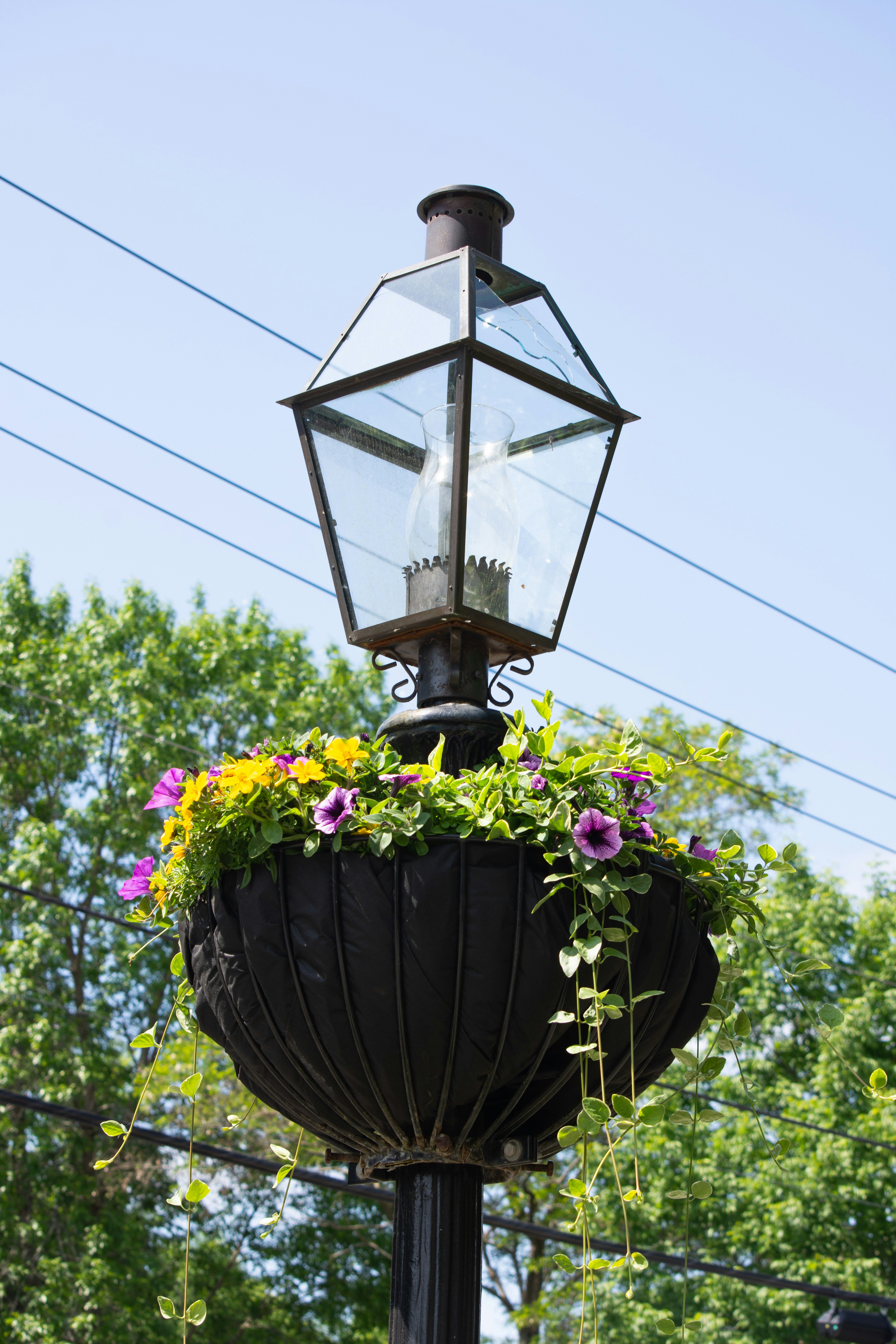 Lampione con cesto di fiori decorativo.