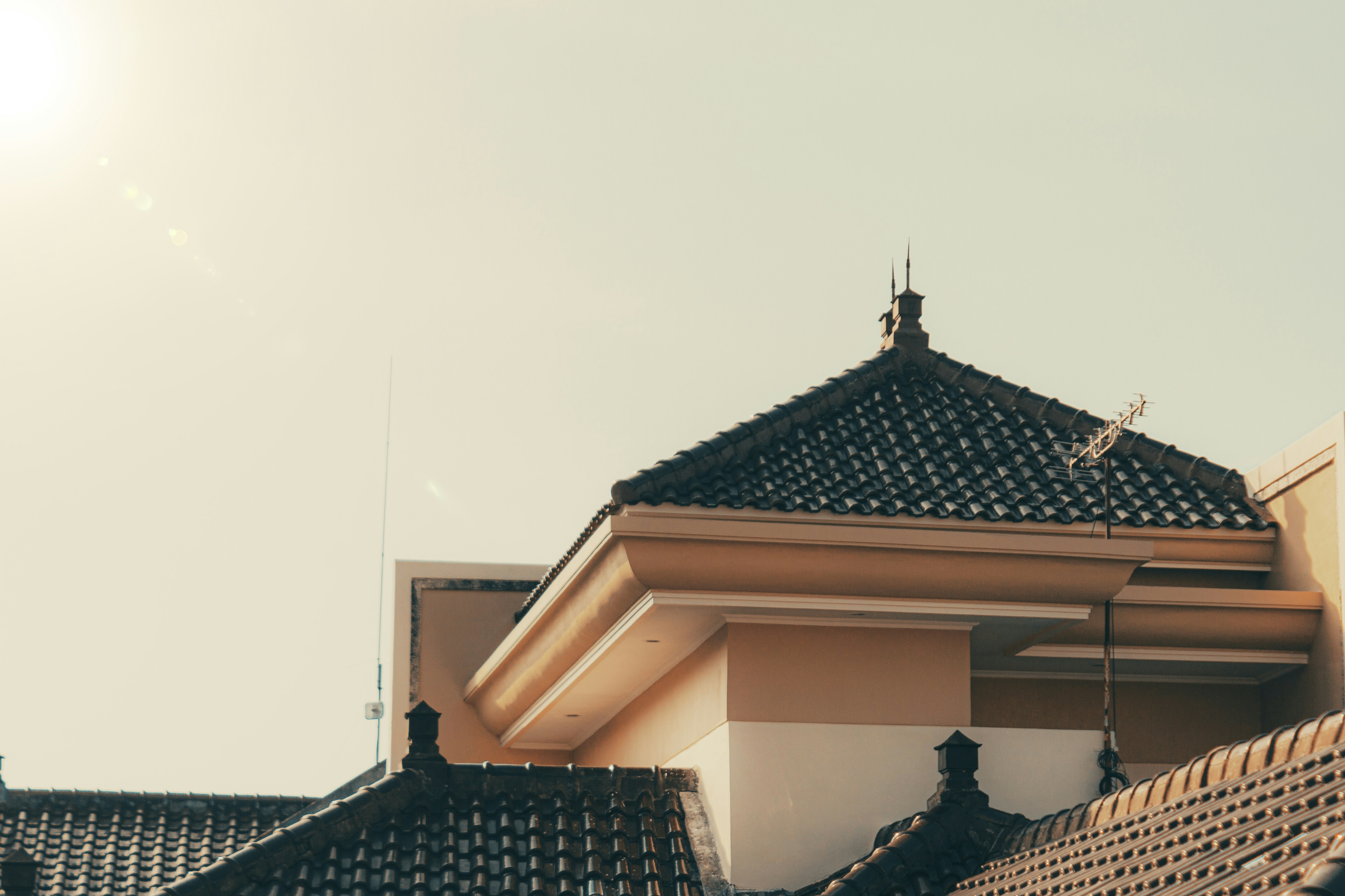 Photo by gallanthaykan