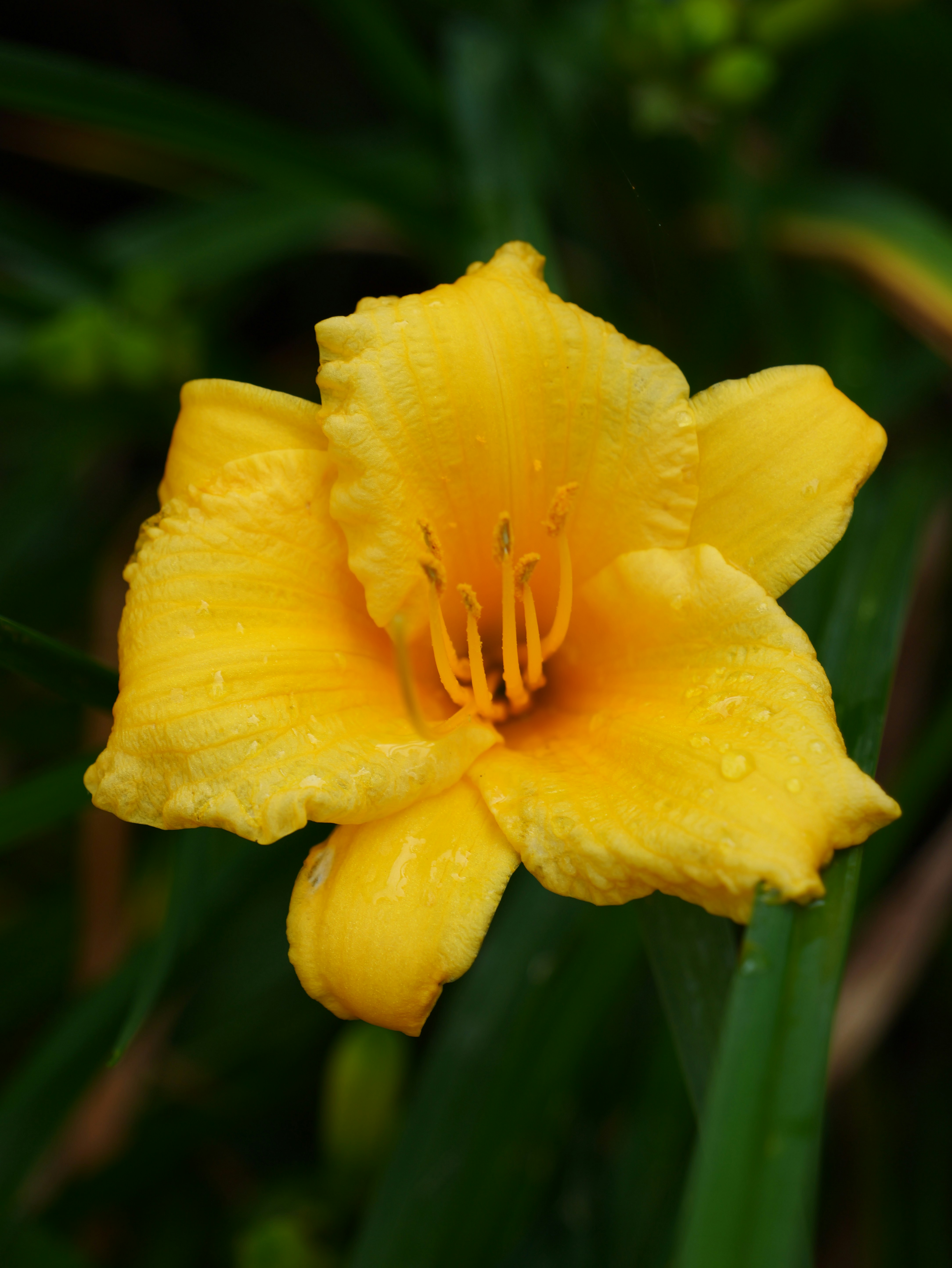 Photo by karonthompson