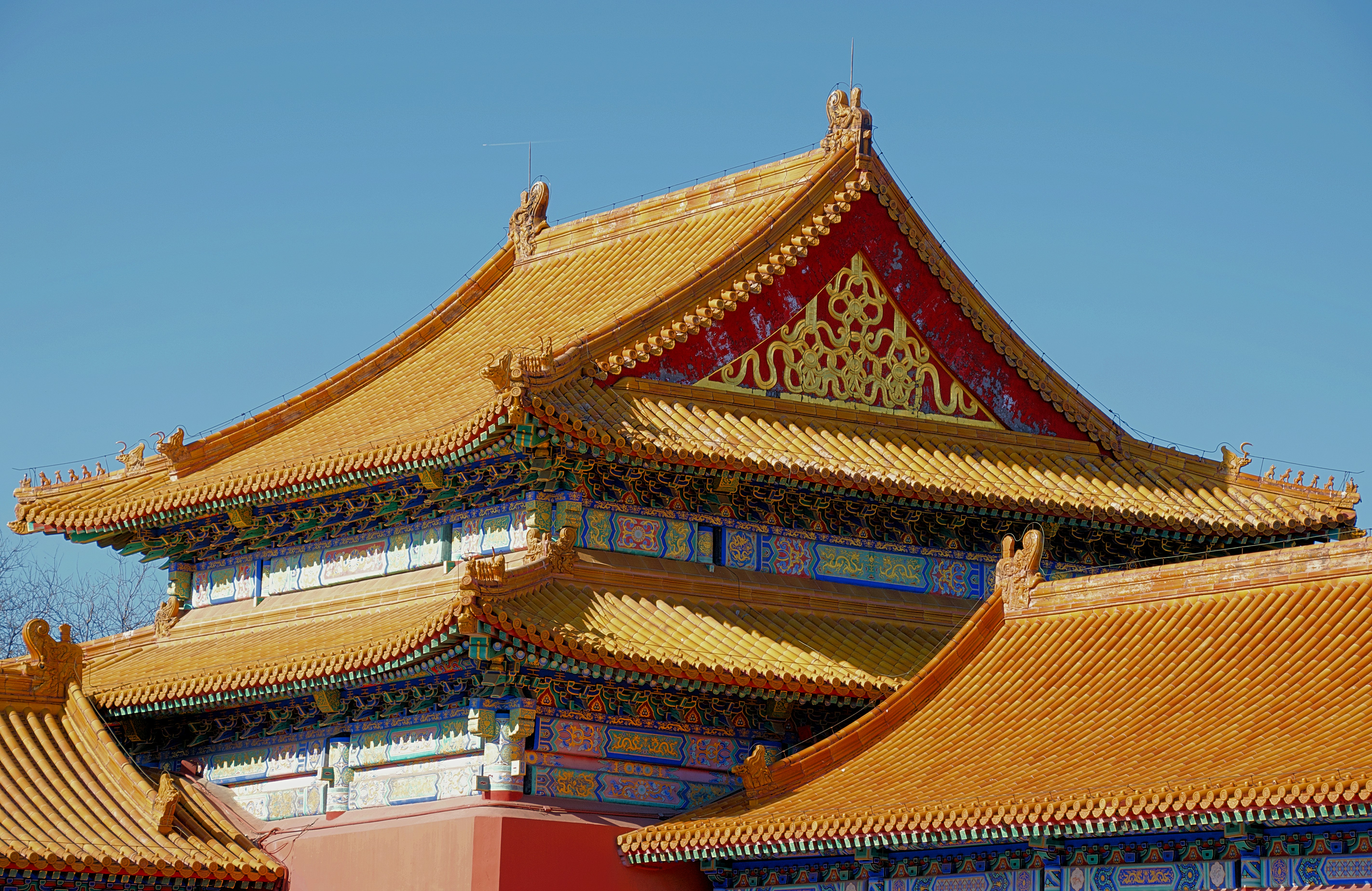 Photo by josswoodhead