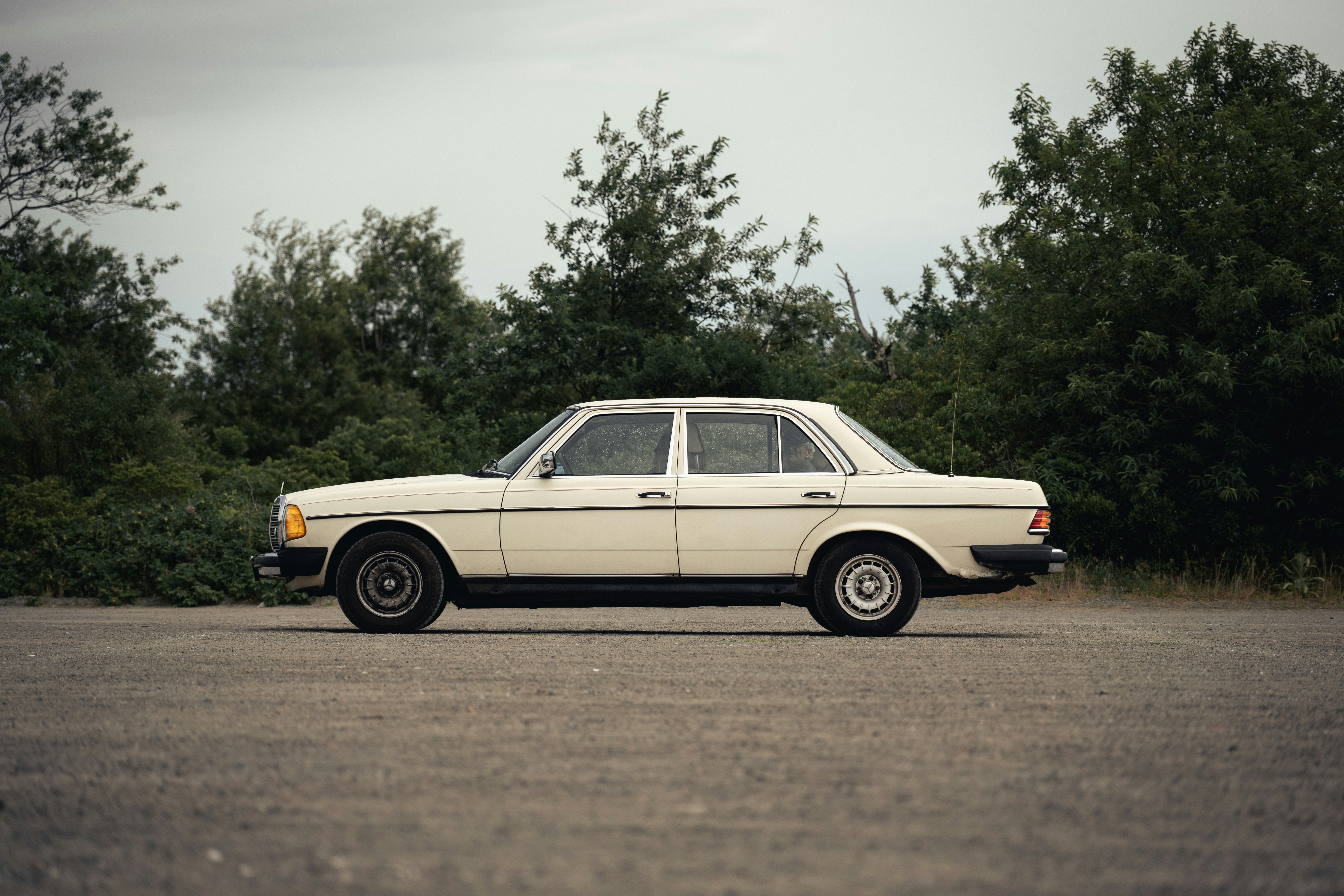 Photo by carterbilawchuk