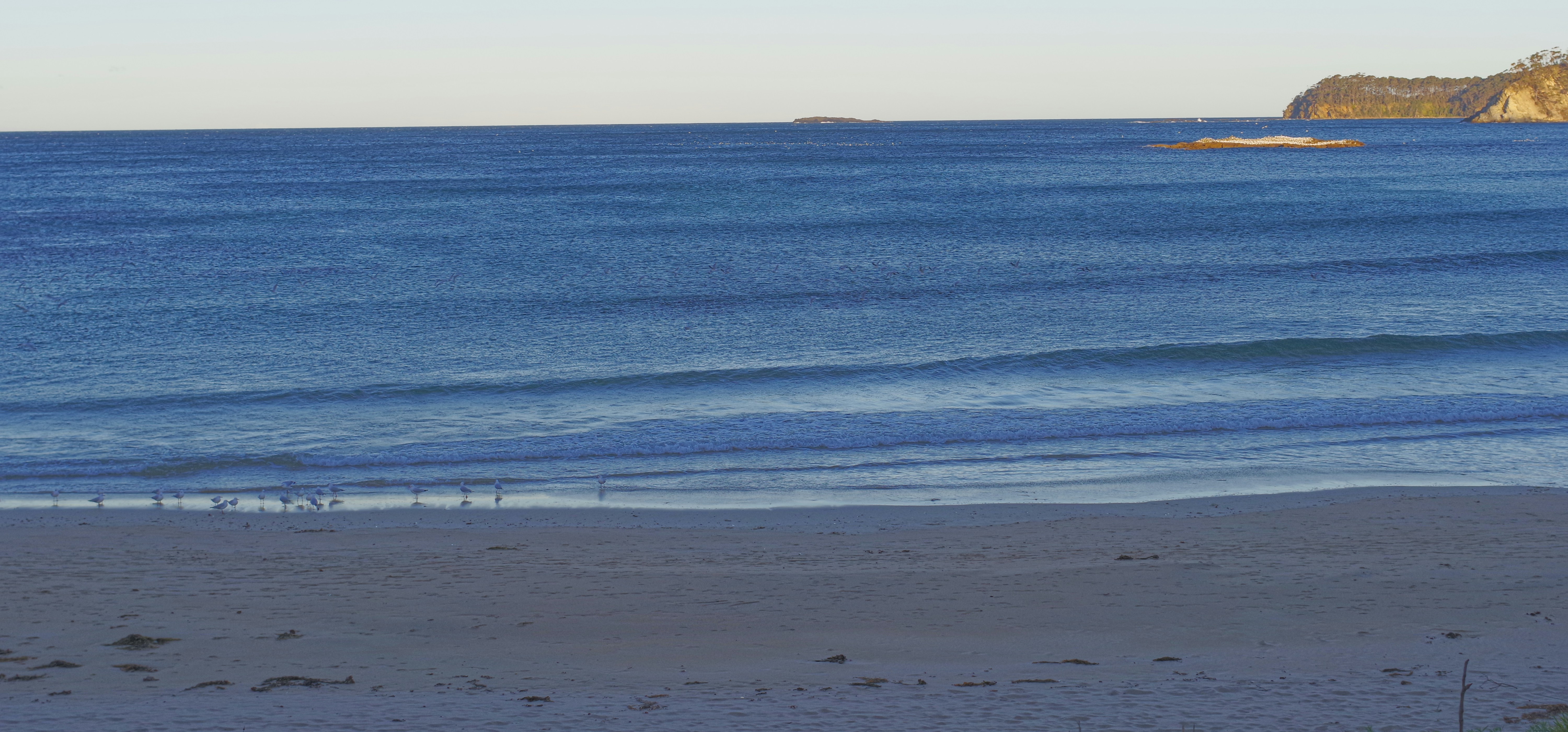 Photo by jengo_photography