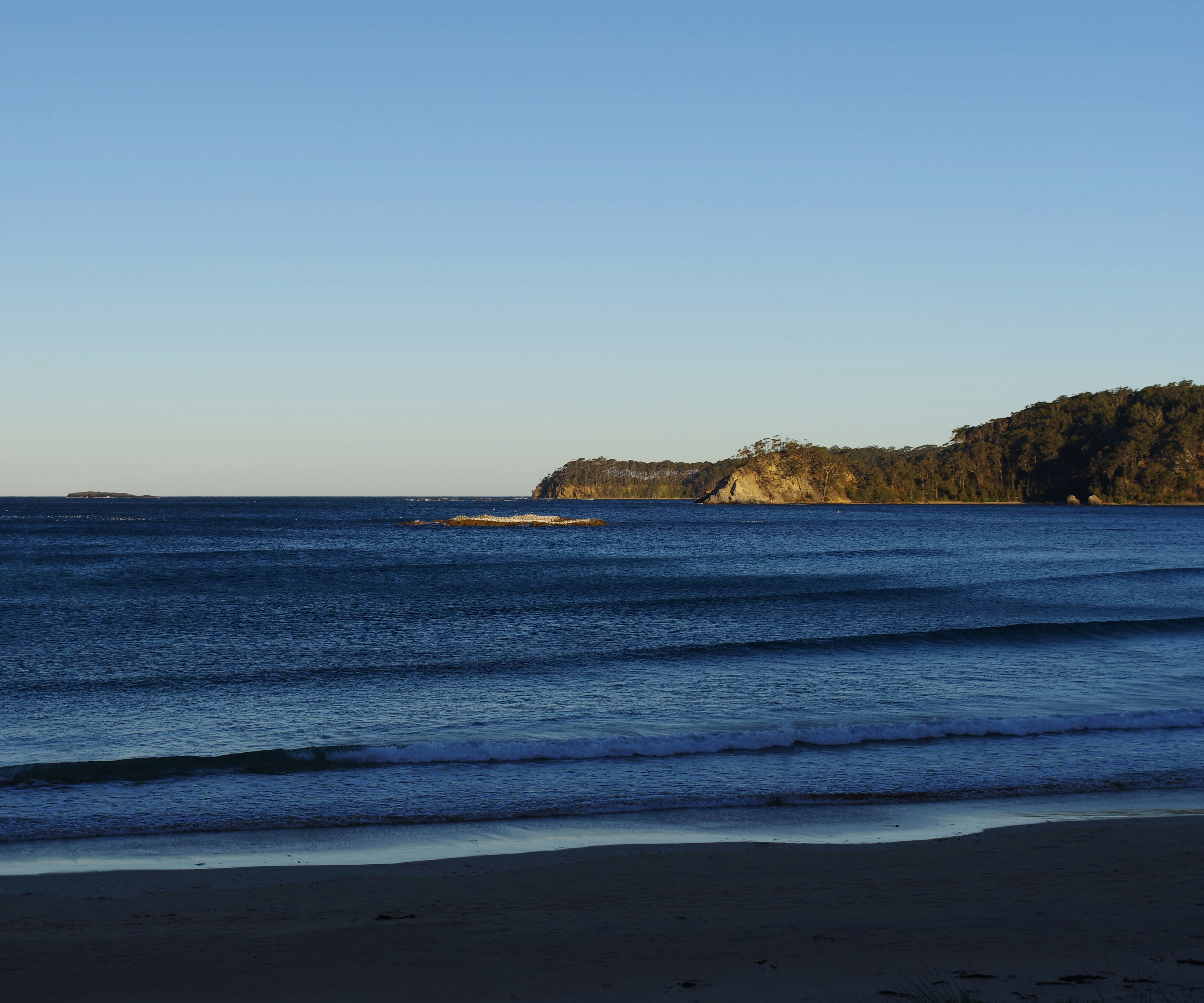 Waves crash along a serene beach.