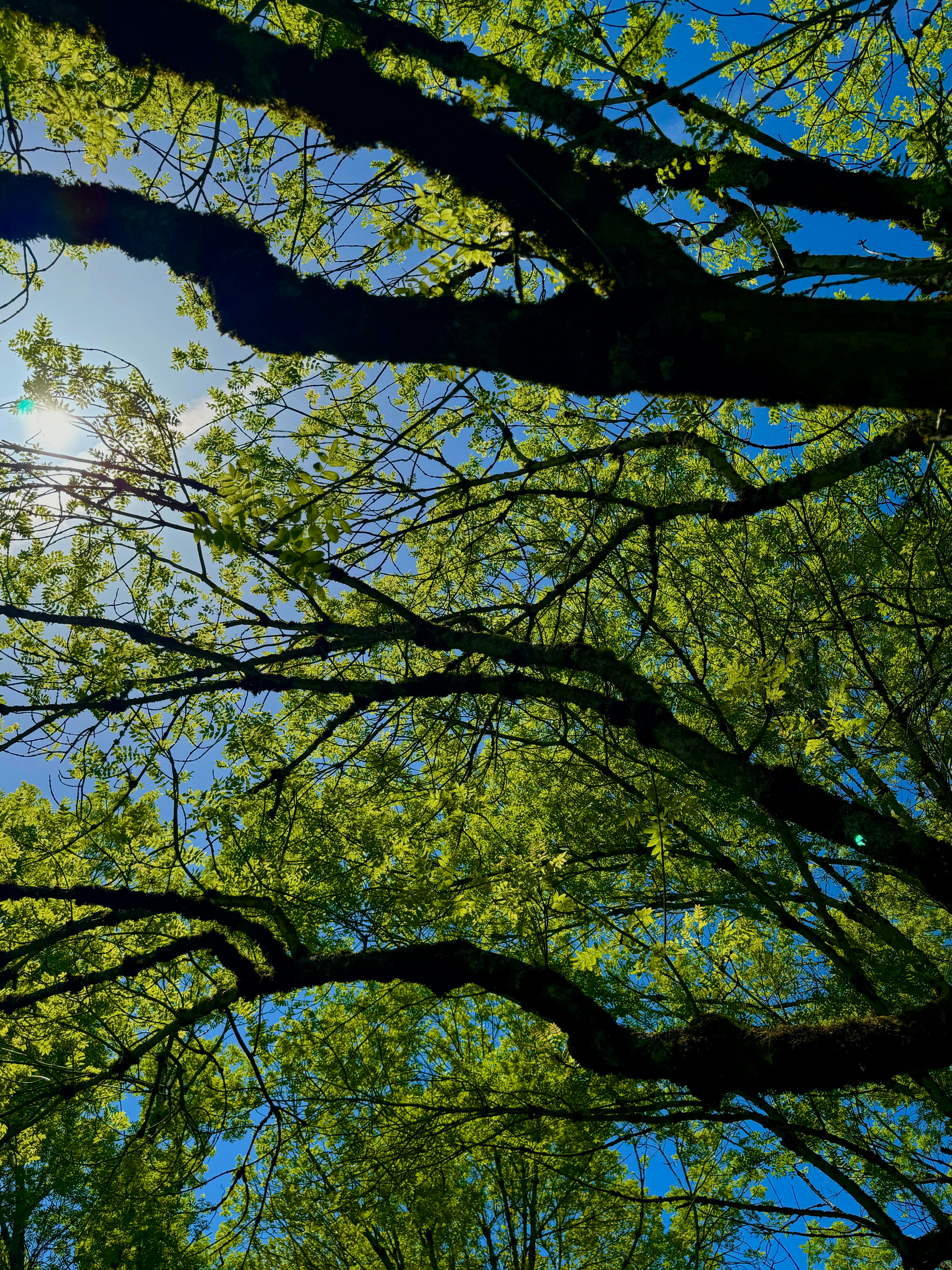 Photo by manish_shetty