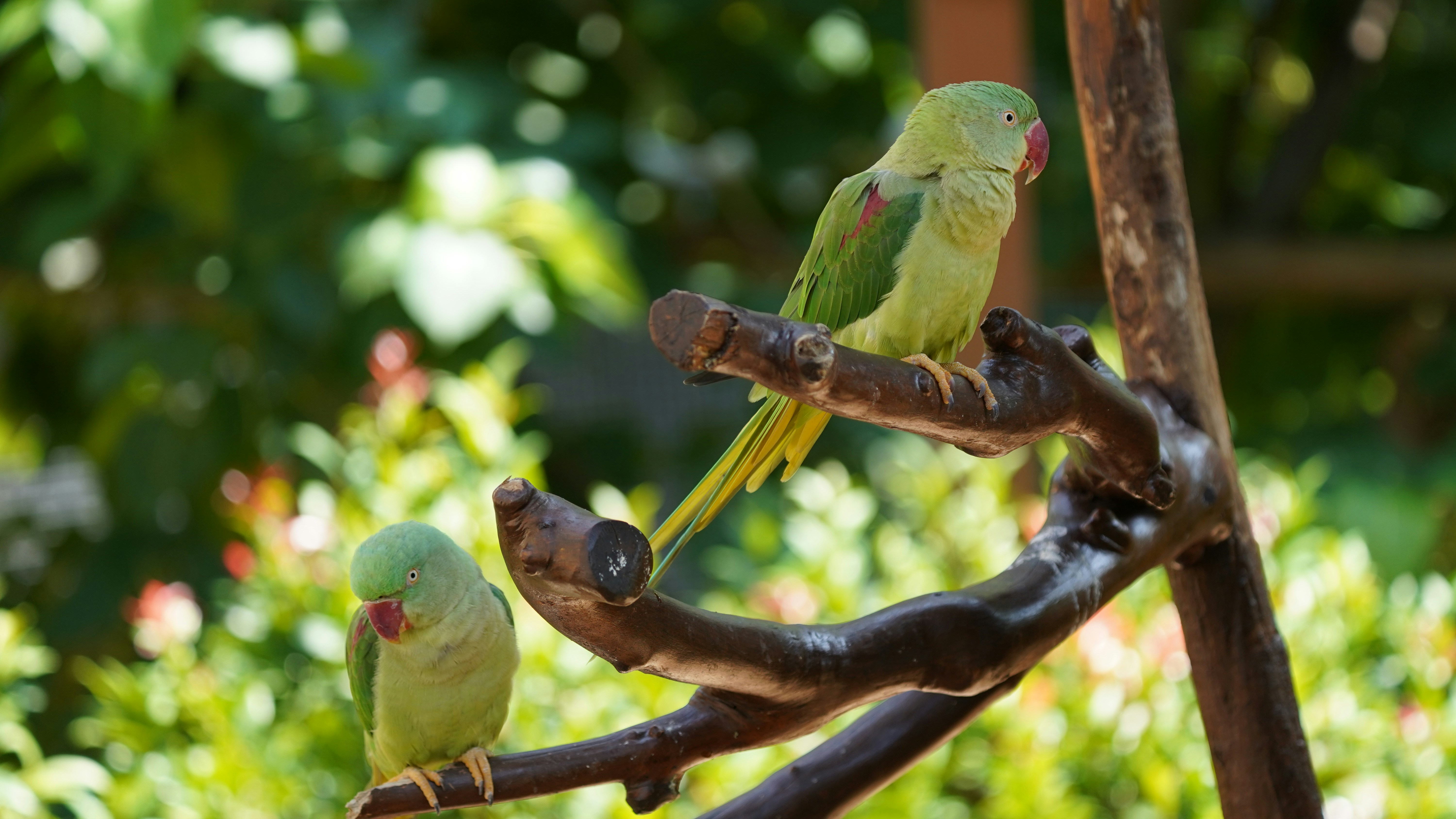 Photo by eka_kurniawan_muchiar