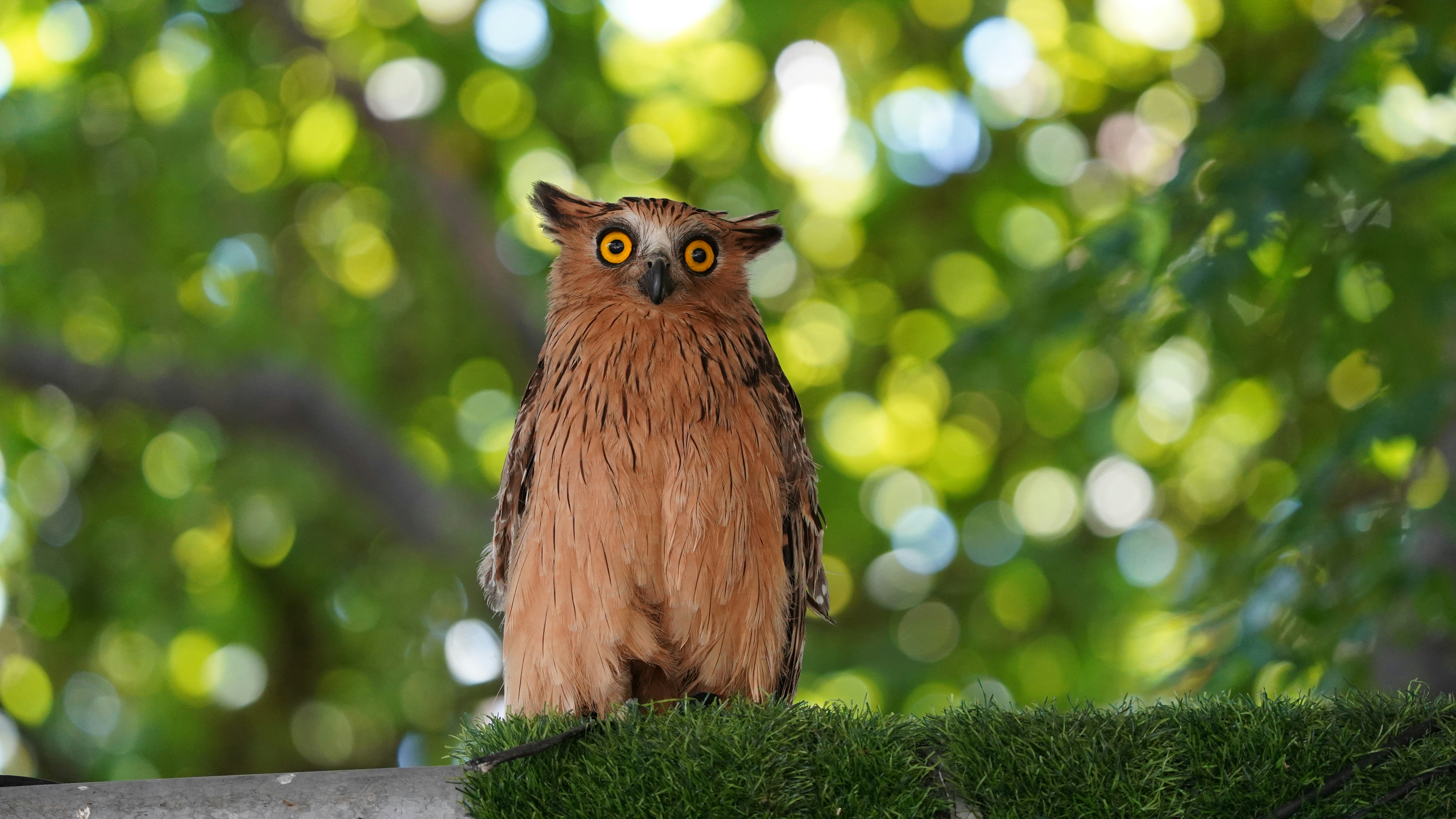 Photo by eka_kurniawan_muchiar