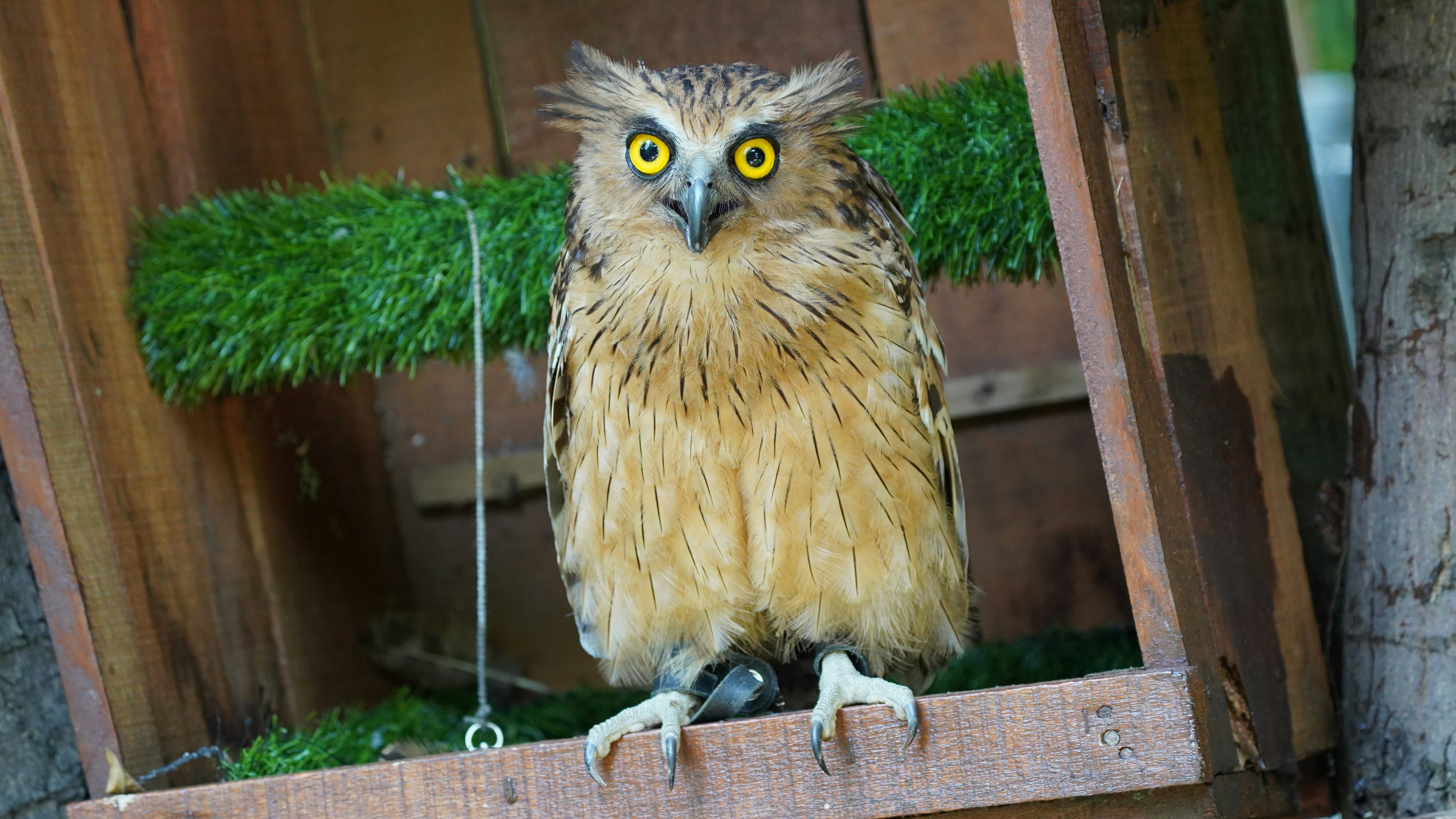 Photo by eka_kurniawan_muchiar