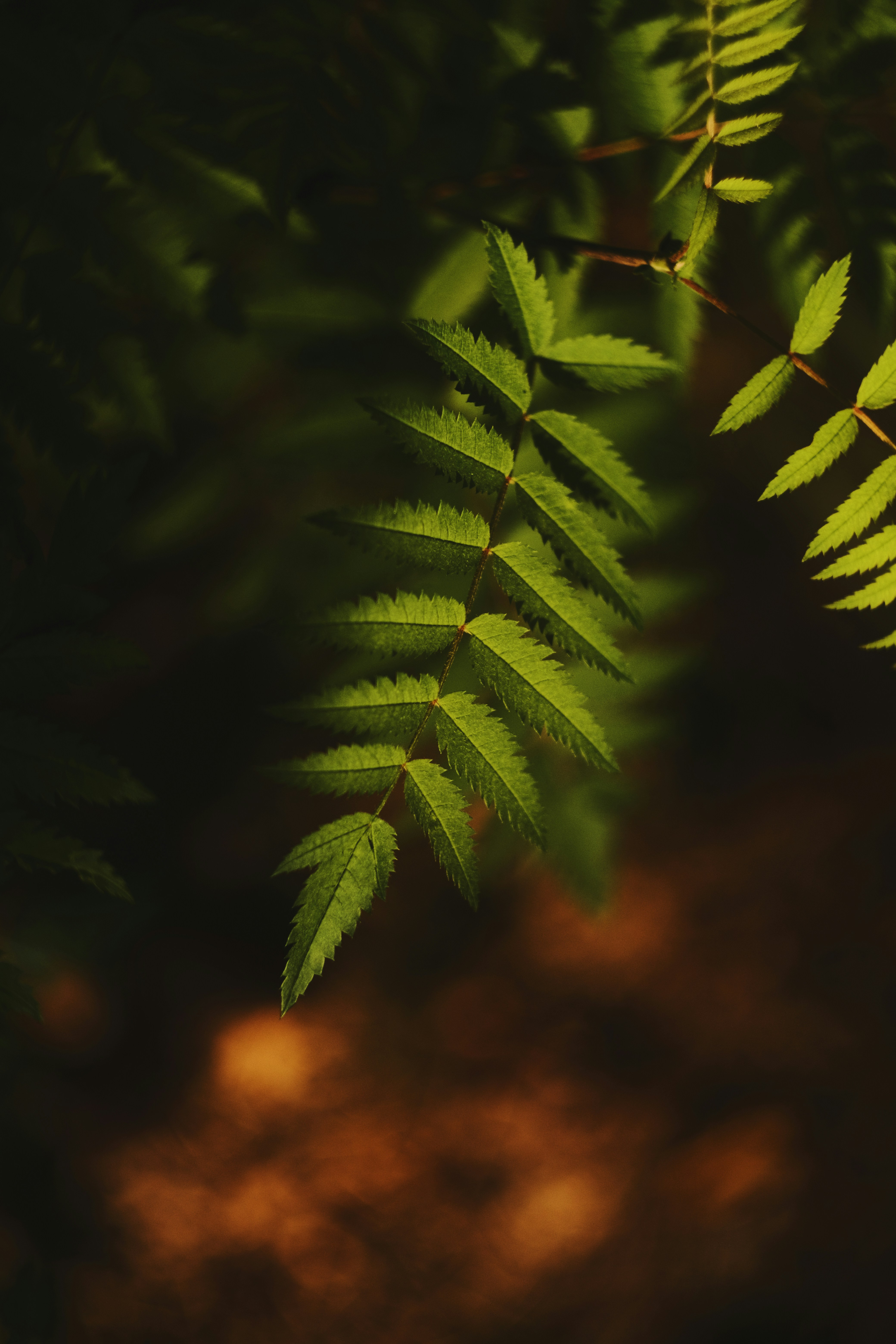 Photo by tobolenkoph