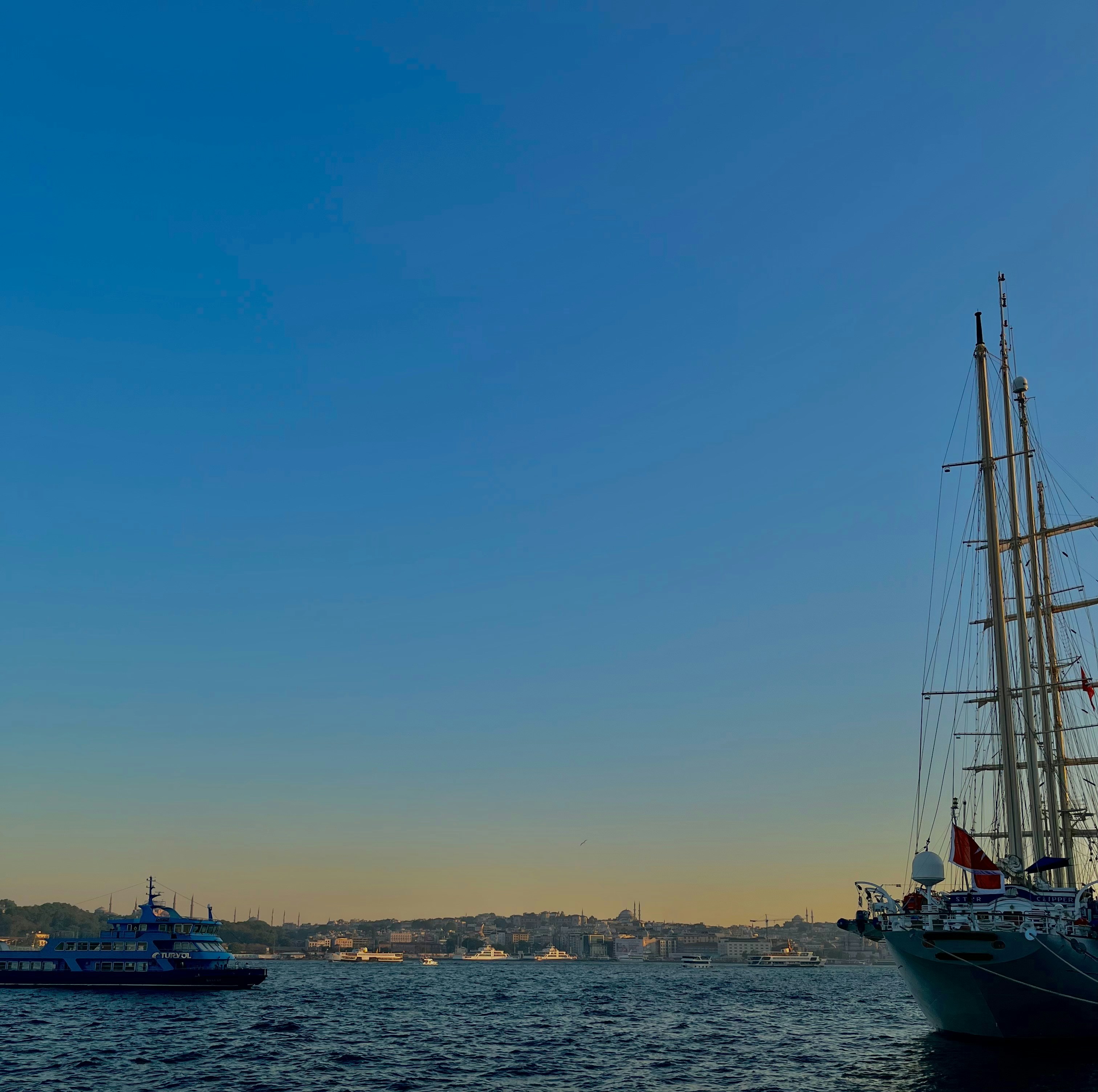 Photo by dipsysselection