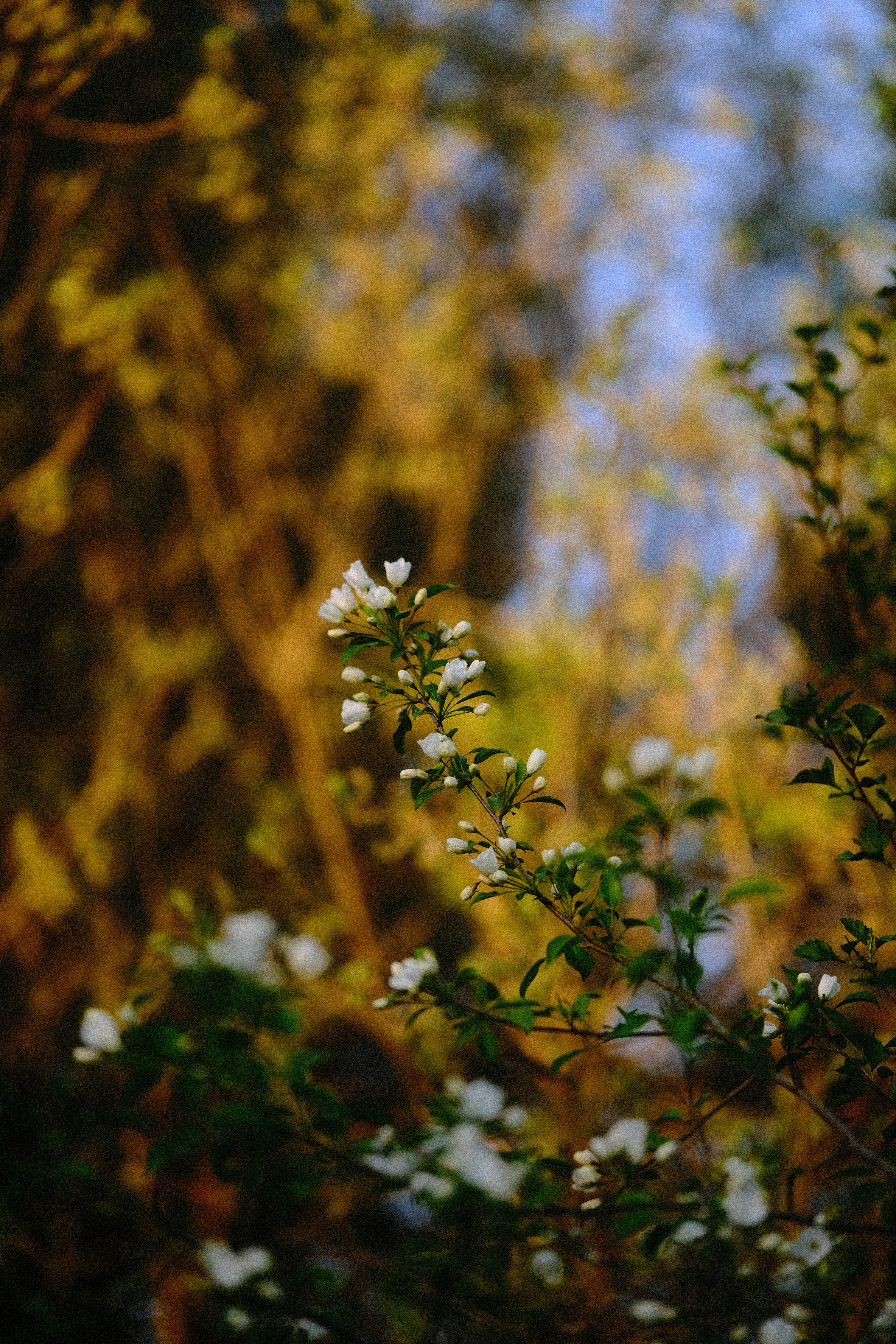 Photo by kazusaki_sagar