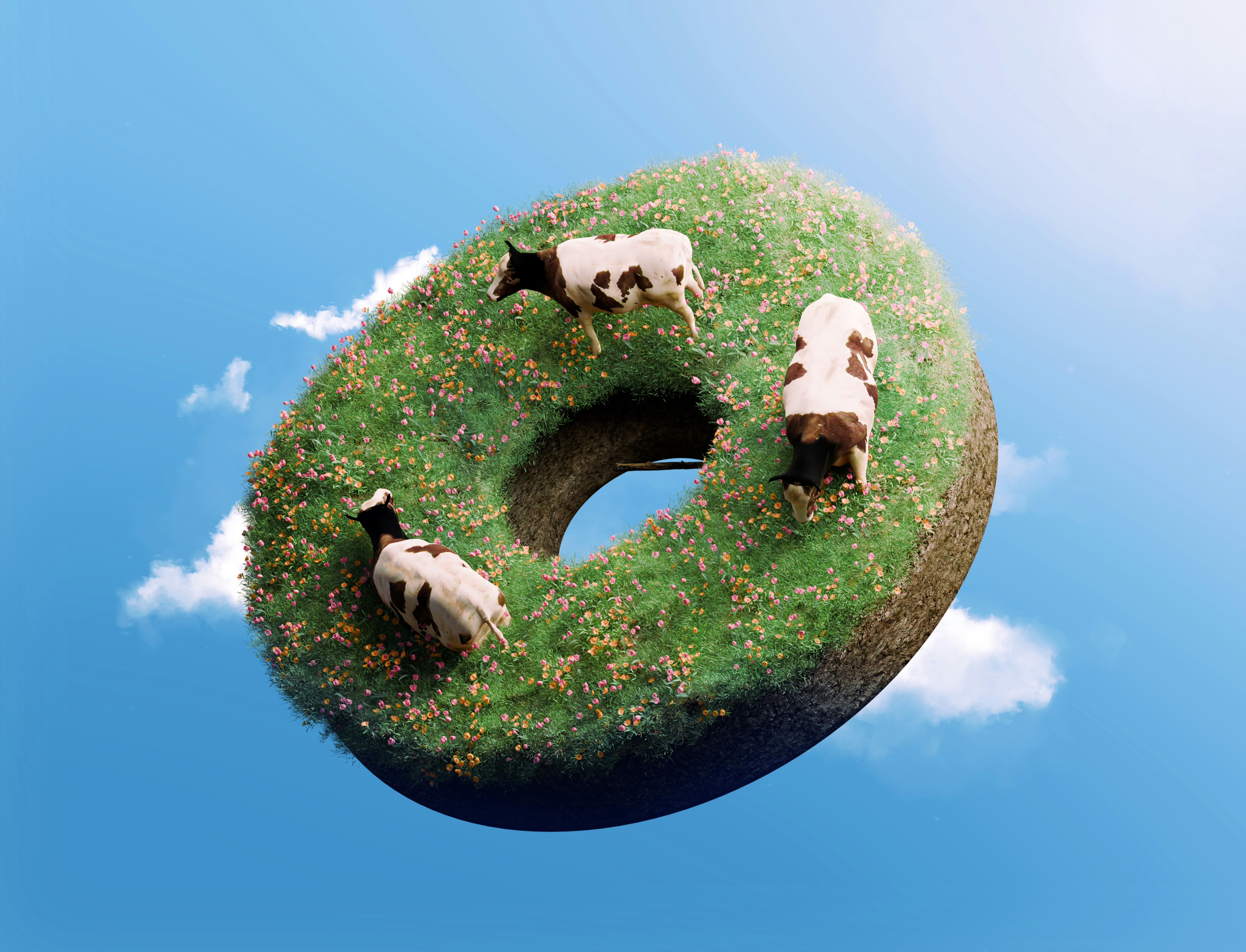 An imaginative 3D illustration featuring a torus-shaped floating island covered in lush green grass and colorful wildflowers, peacefully grazed by cows in a surreal sky setting. This creative nature-meets-fantasy artwork is ideal for conceptual design collections, editorial illustrations, environmental awareness visuals, and whimsical advertising campaigns. Perfect for use in digital storytelling, design inspiration blogs, and surrealist visual branding.
