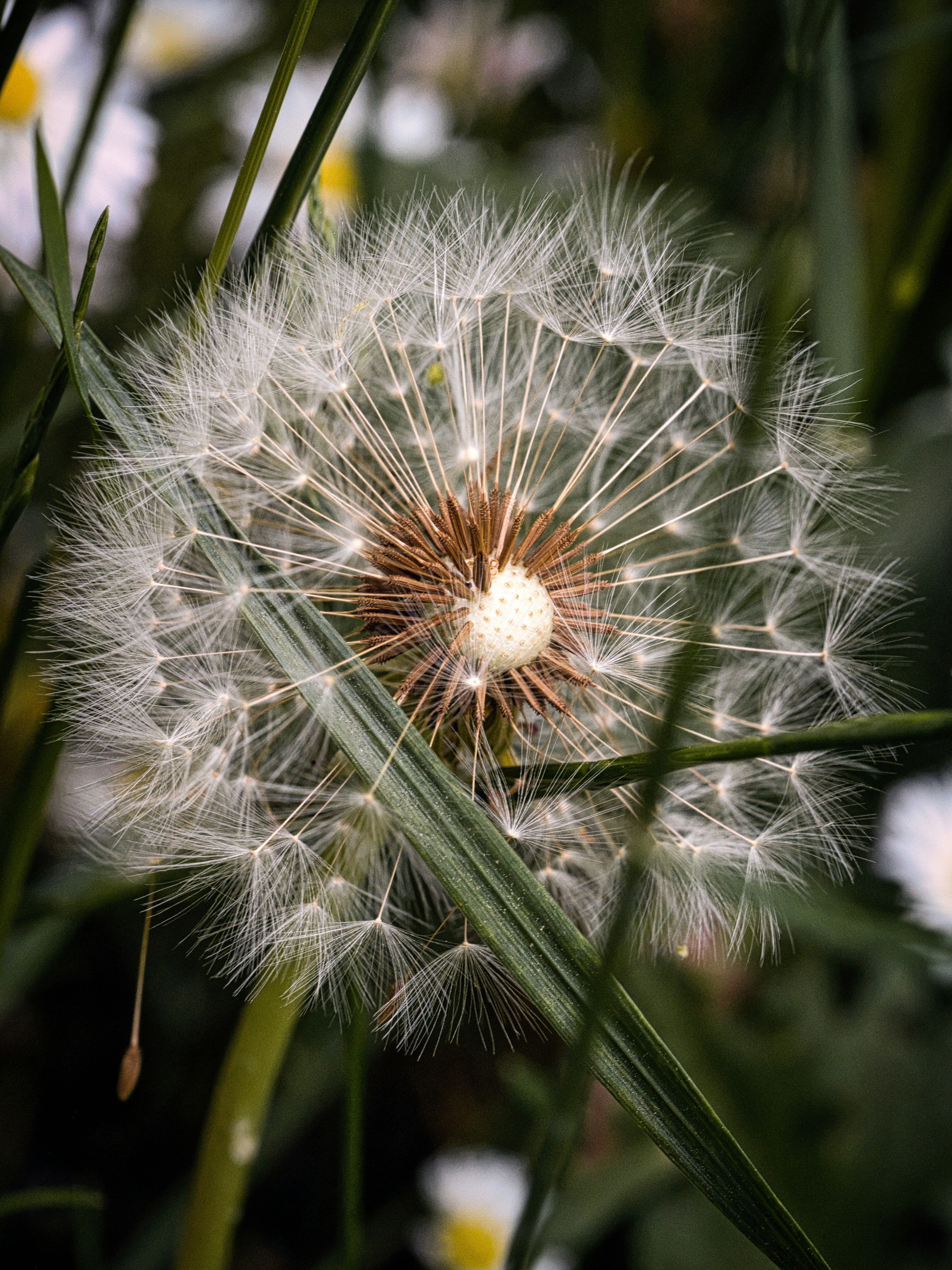 Photo by theskytales