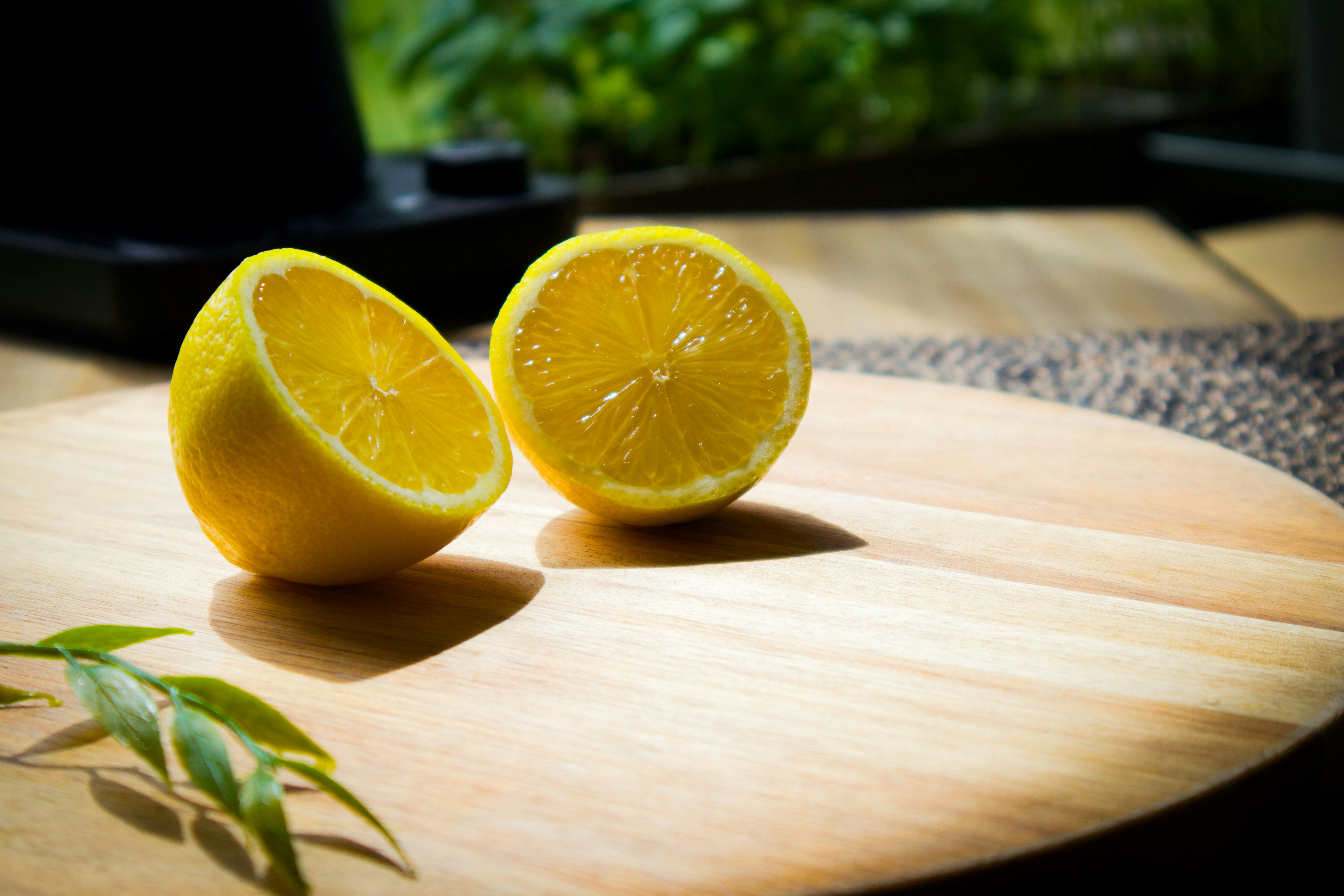 Photo by user_pascal