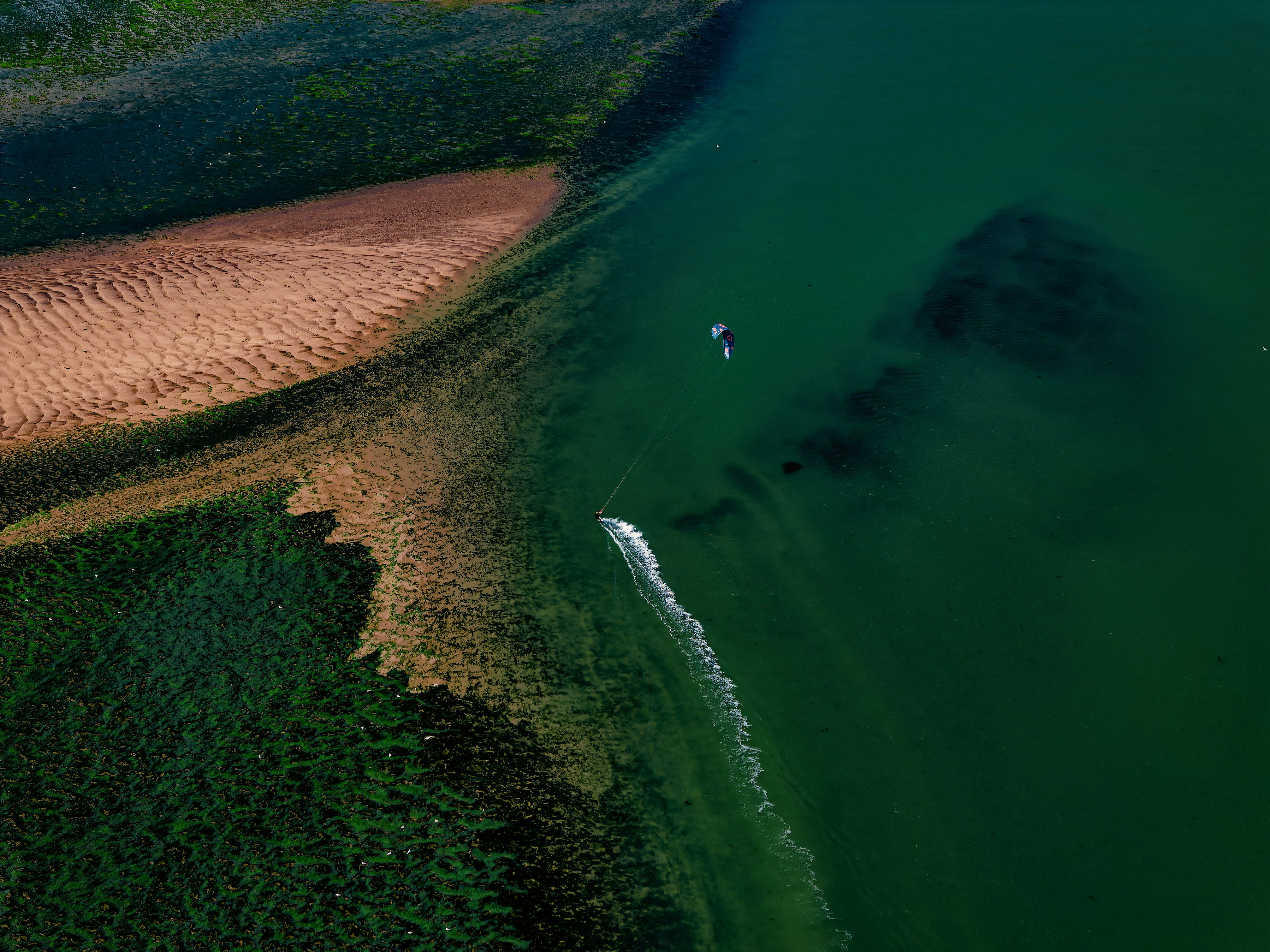 Watch Out: How Foggy Window Replacement Is Taking Over And What You Can Do About It