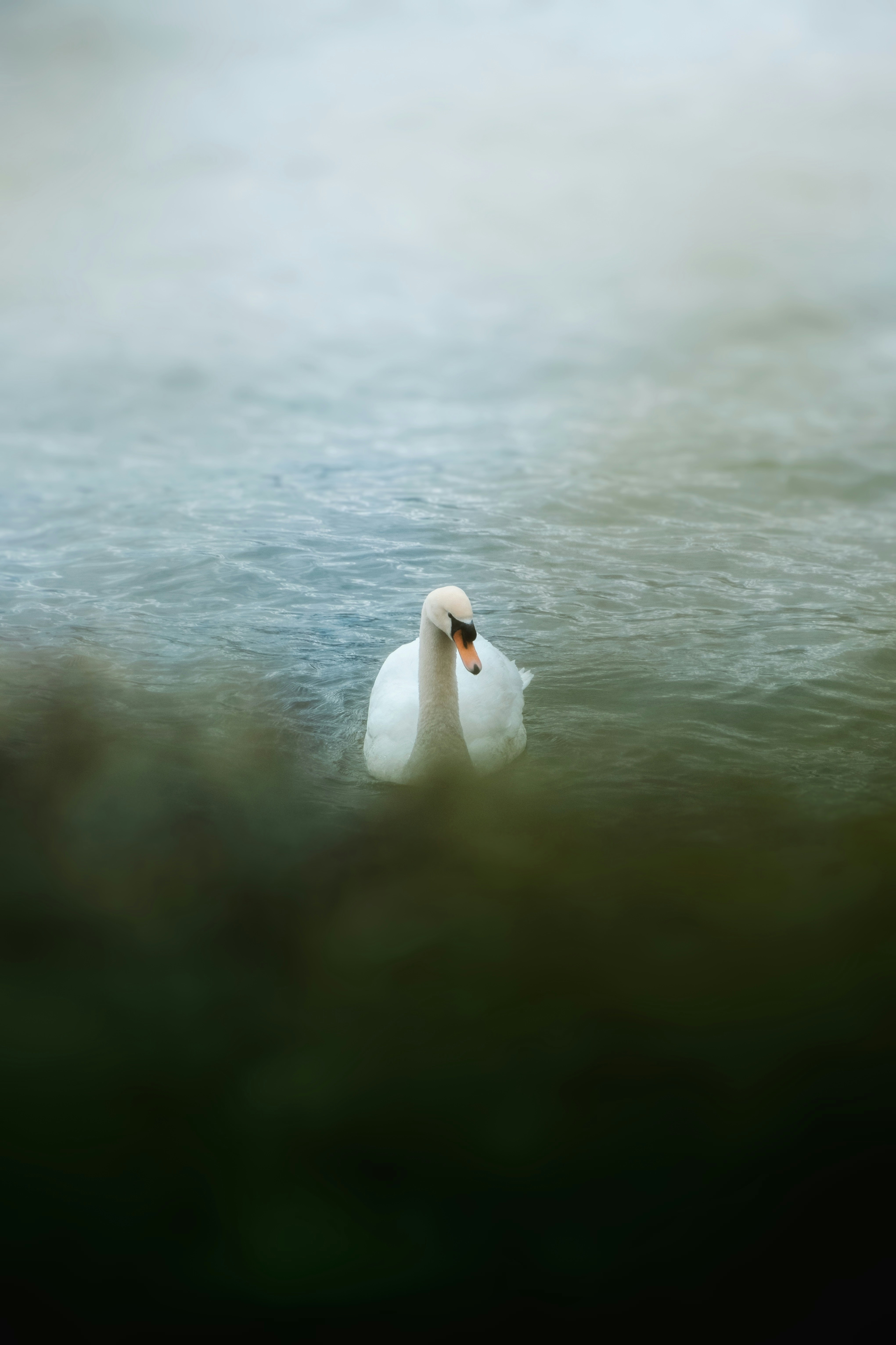 Photo by kevinmueller