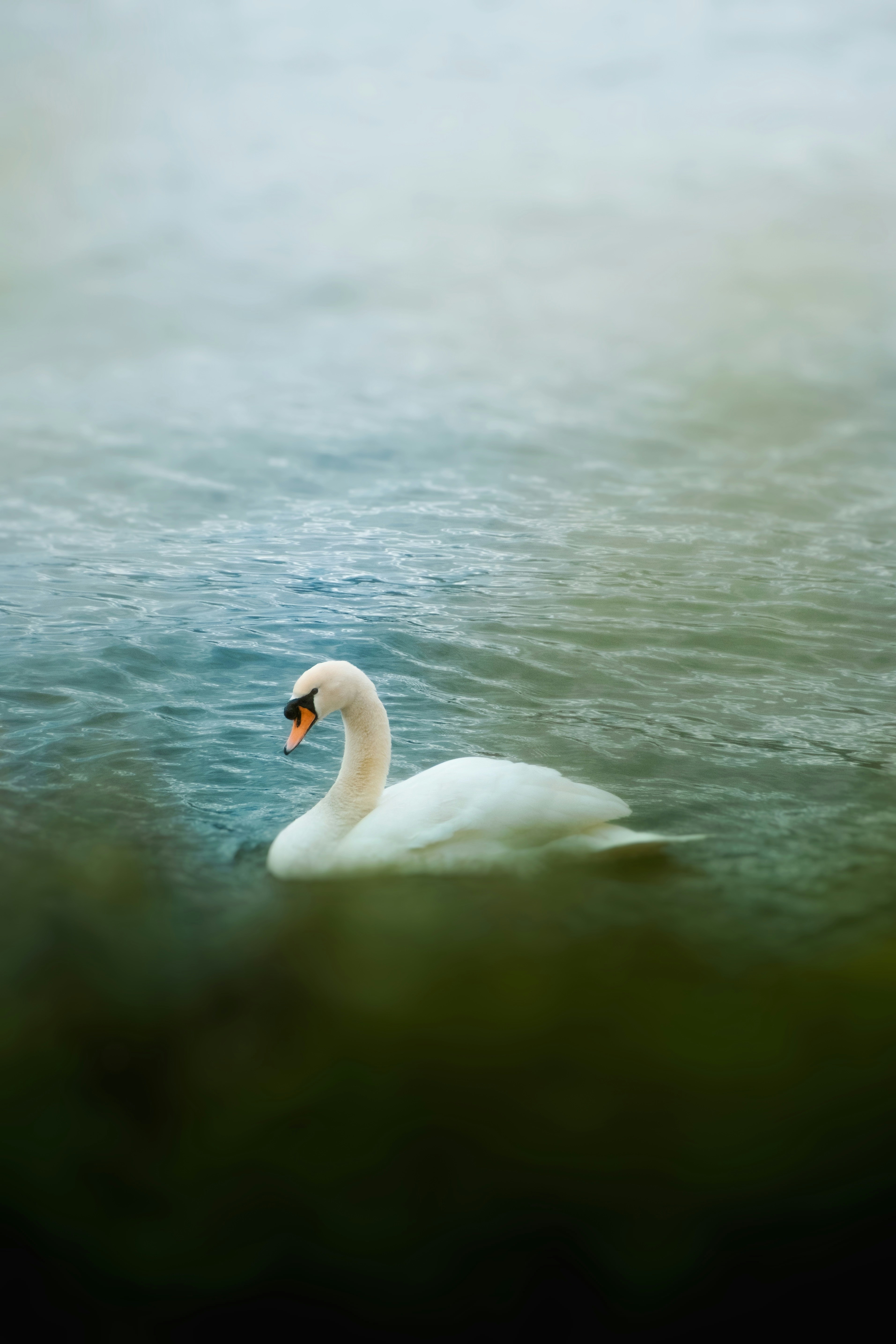 Photo by kevinmueller