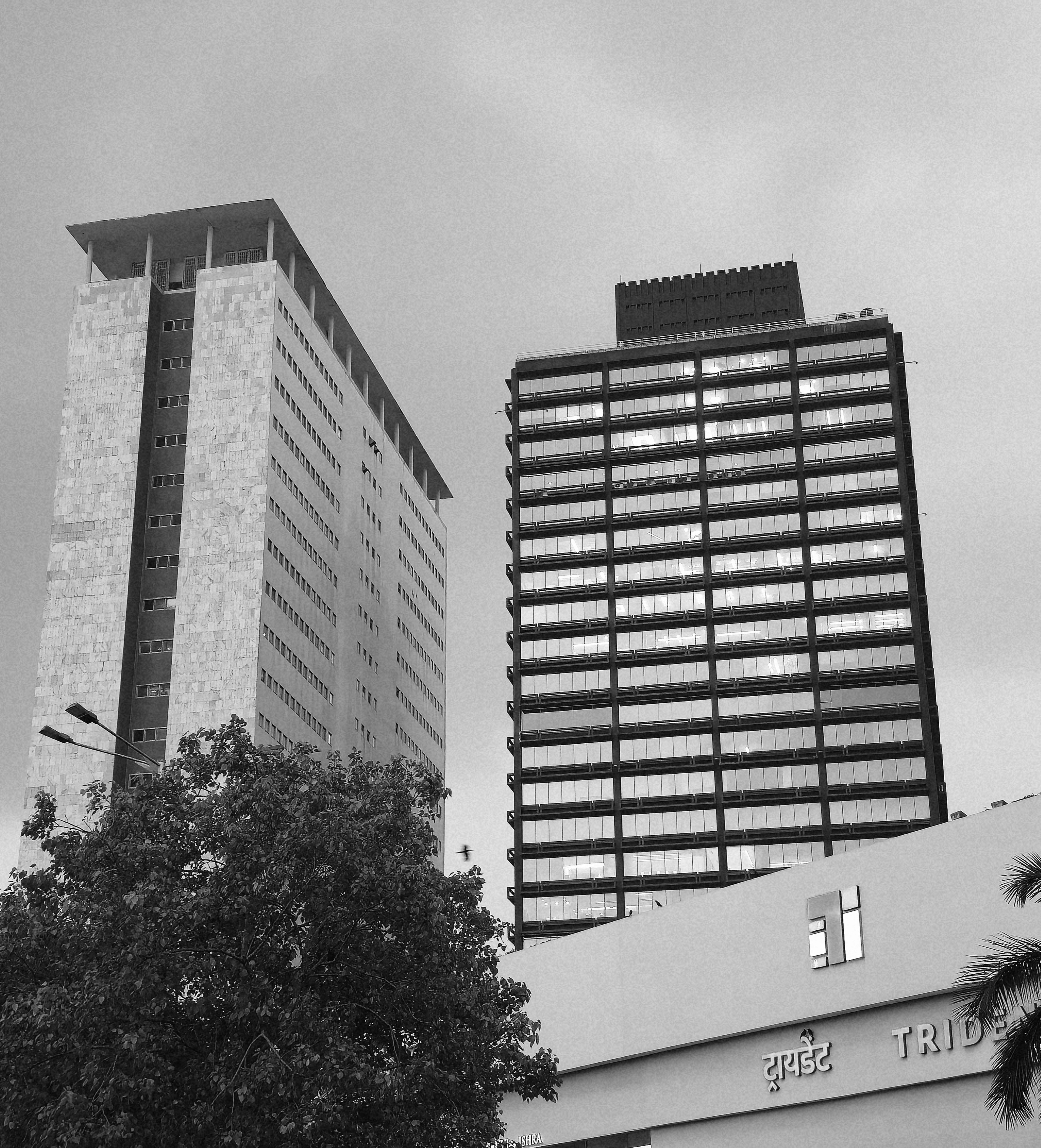 Photo by zoshuacolah