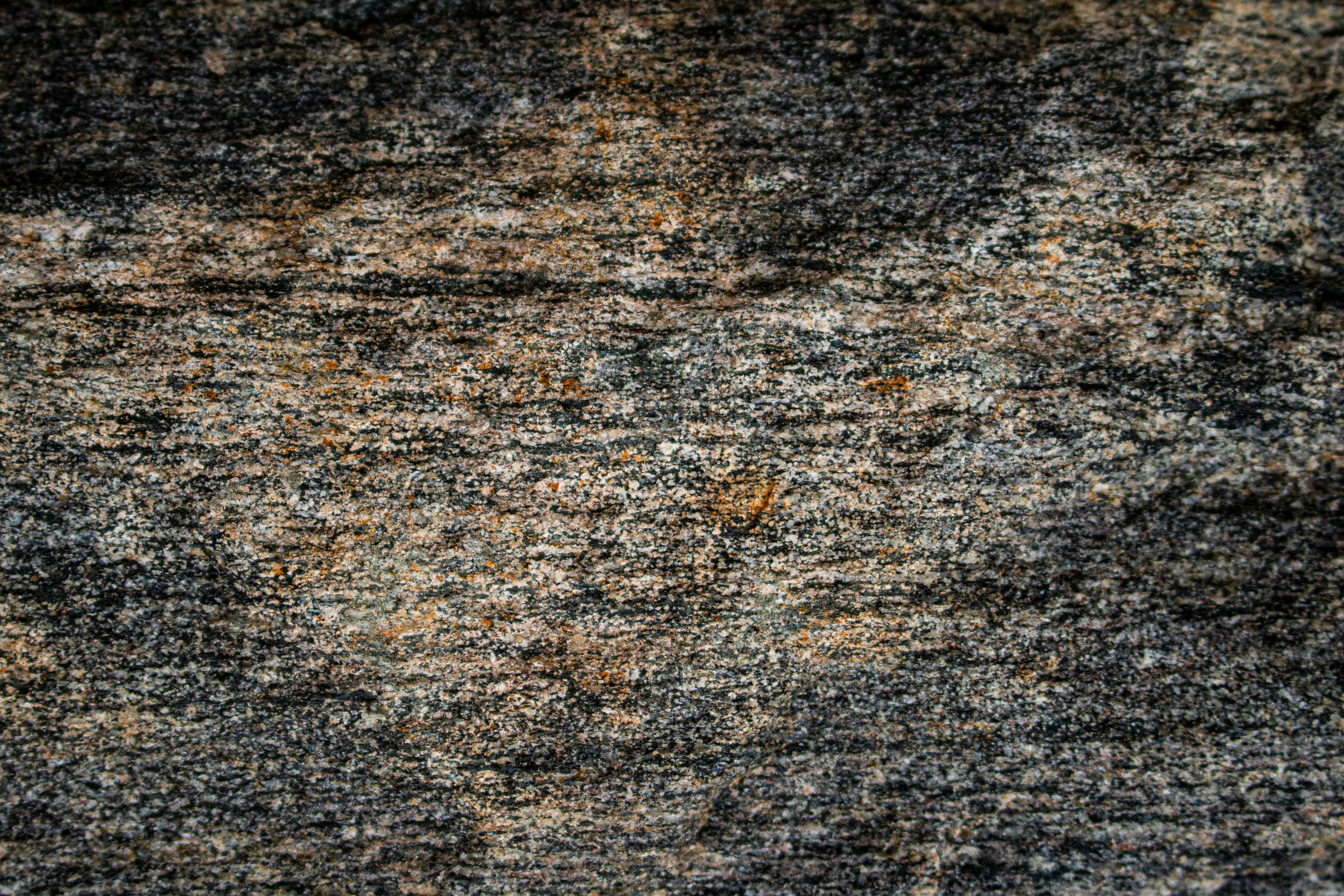 Photo by zoshuacolah