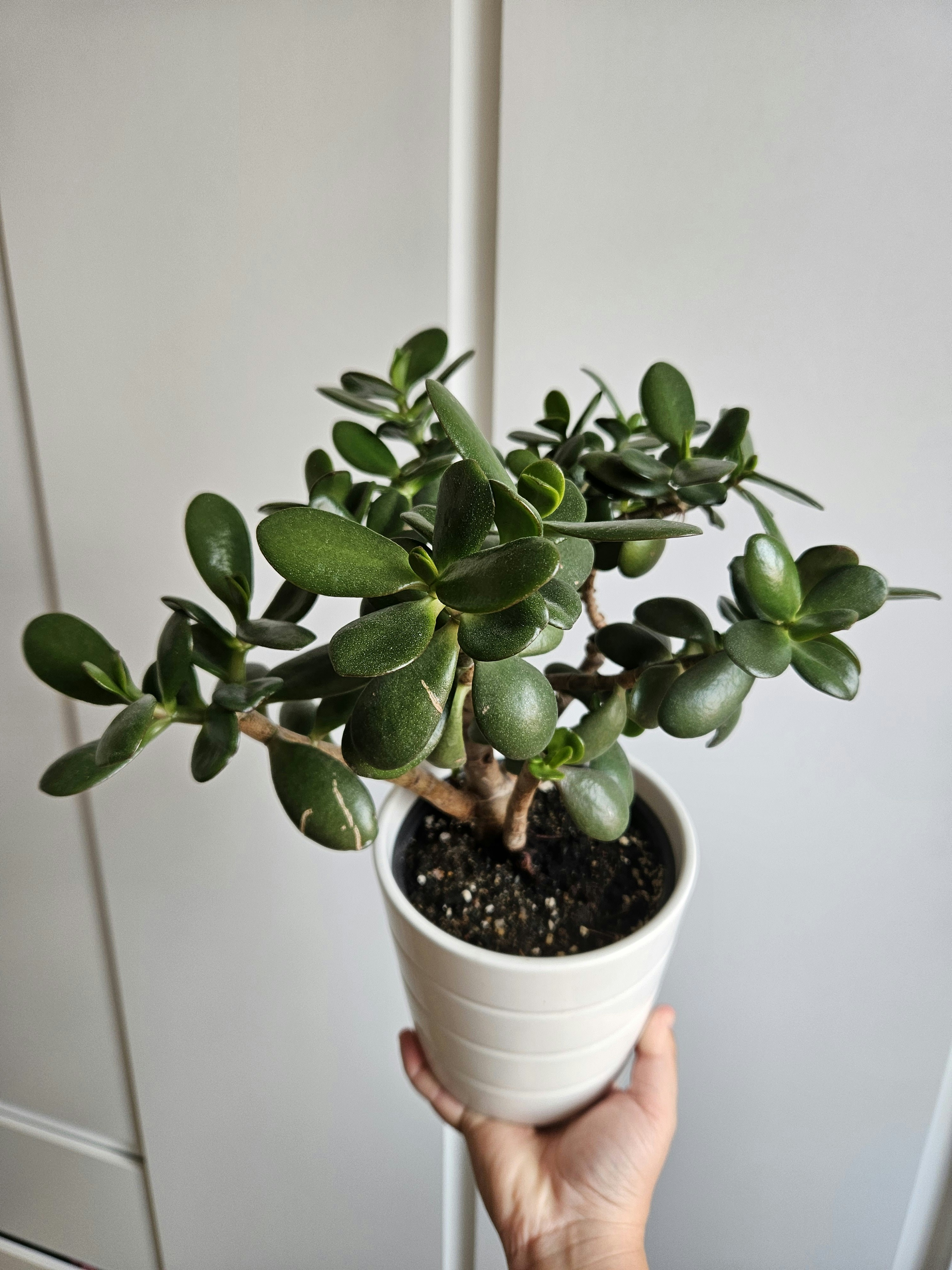 Photo by marjorylucabaxter