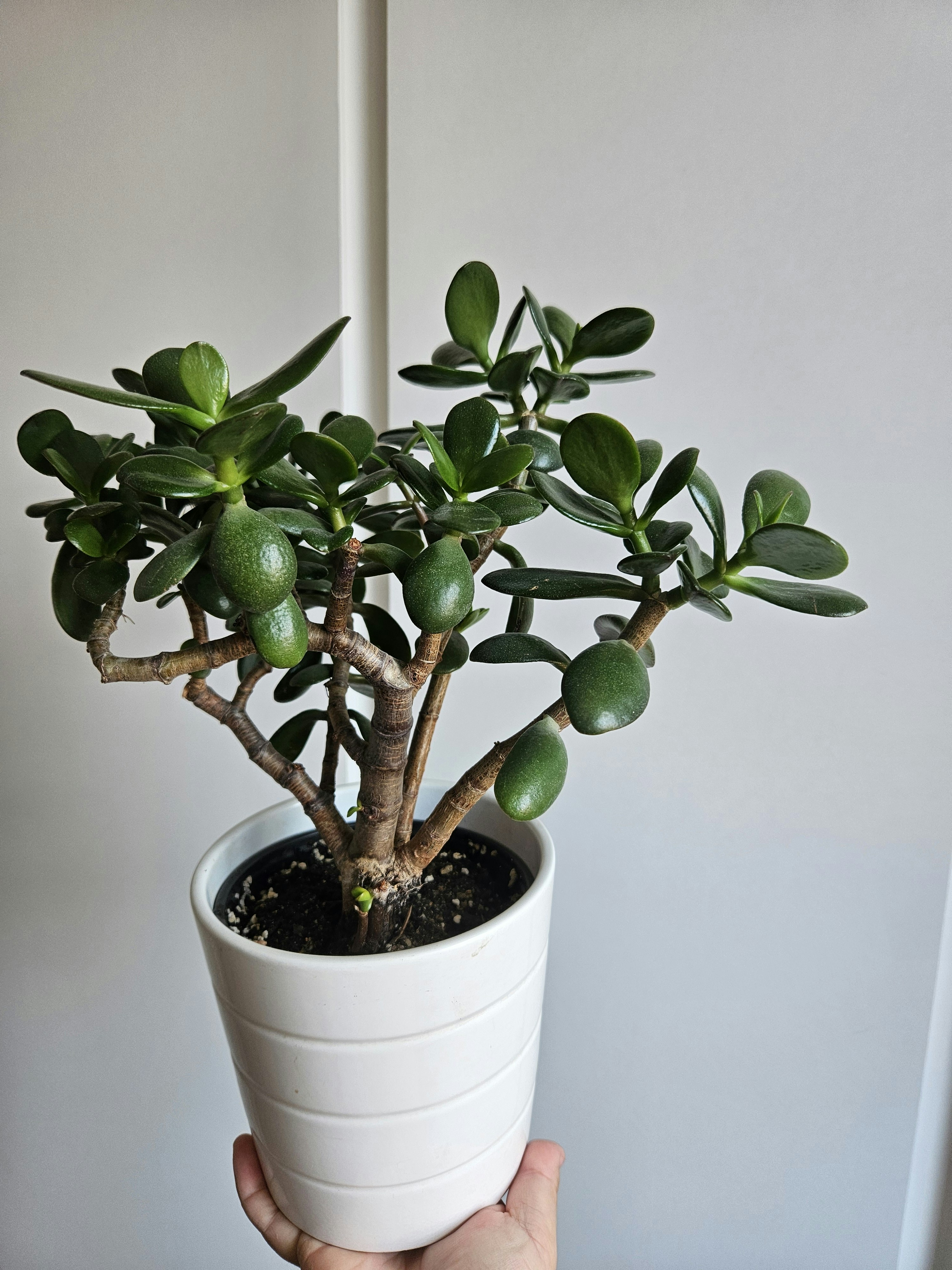 Photo by marjorylucabaxter