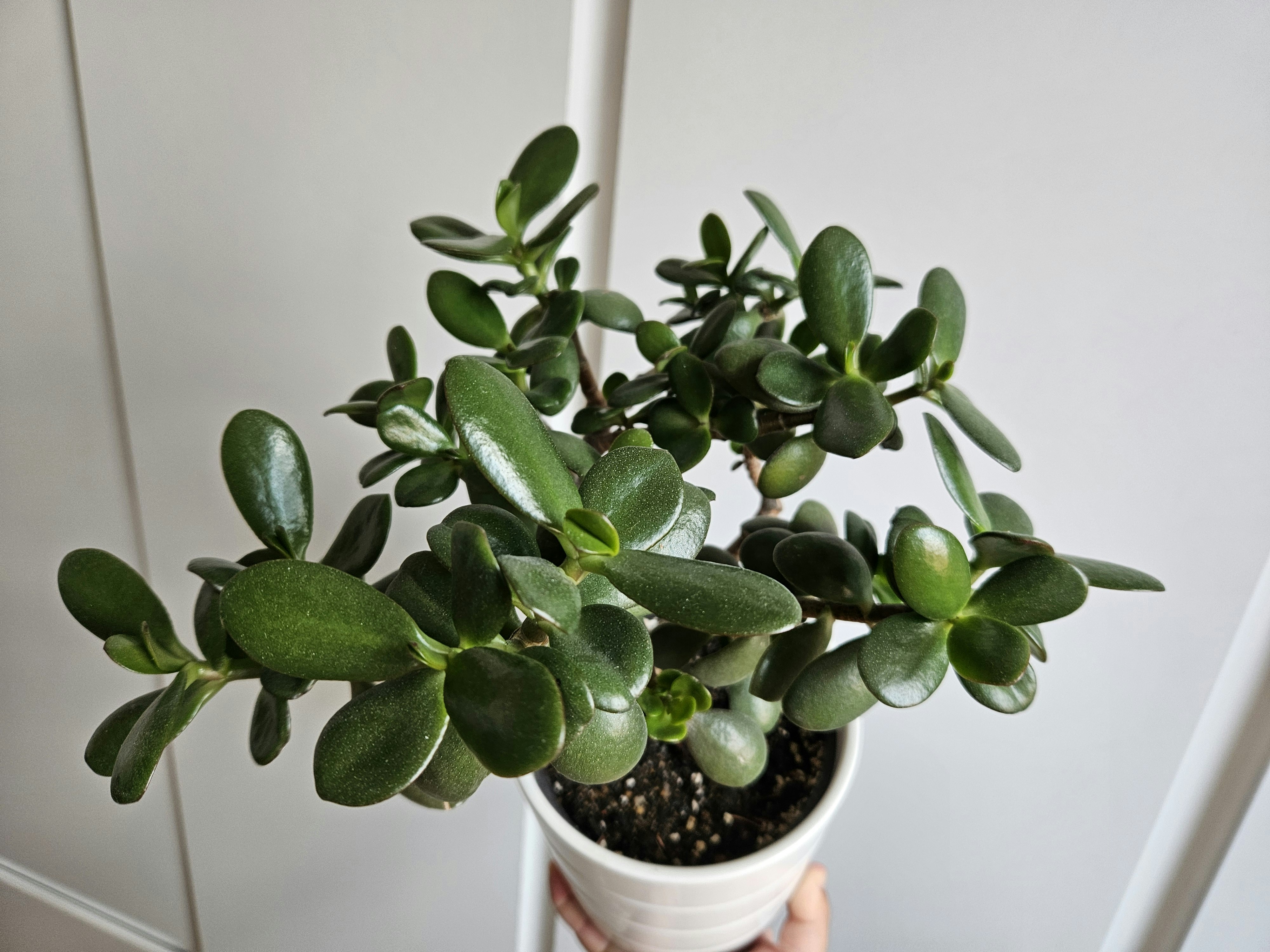 Photo by marjorylucabaxter