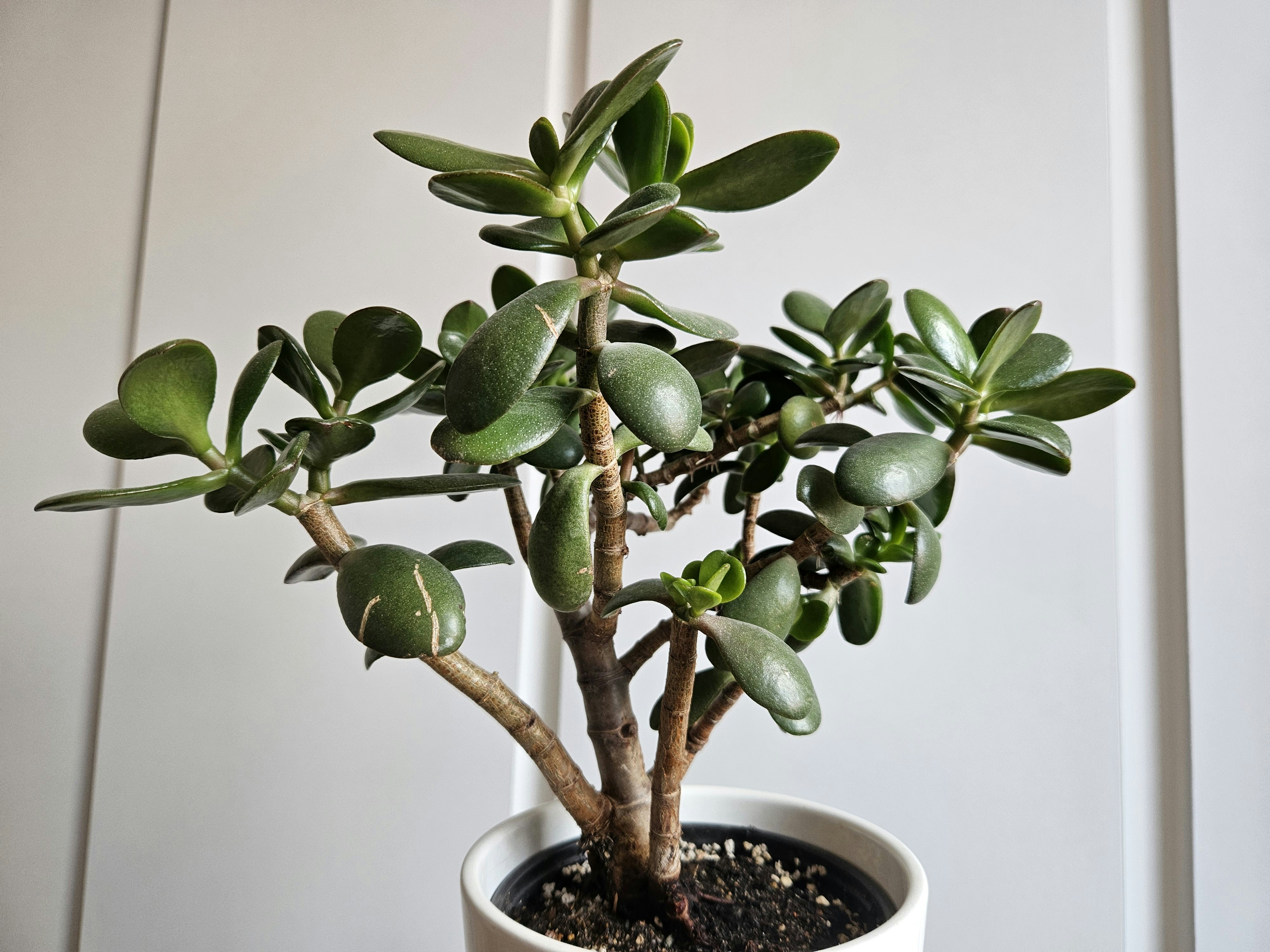 Photo by marjorylucabaxter